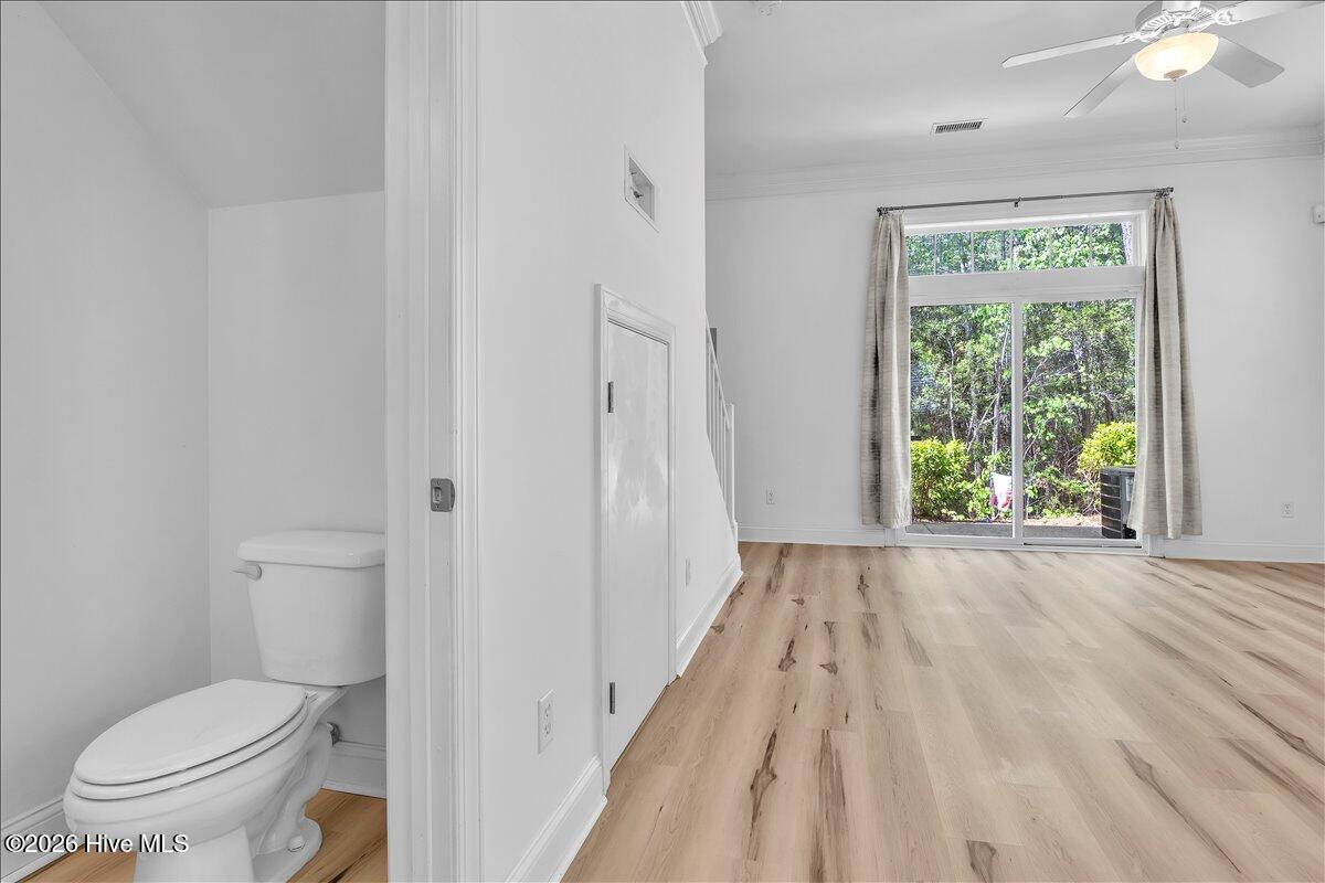 100567223 | Photo 14