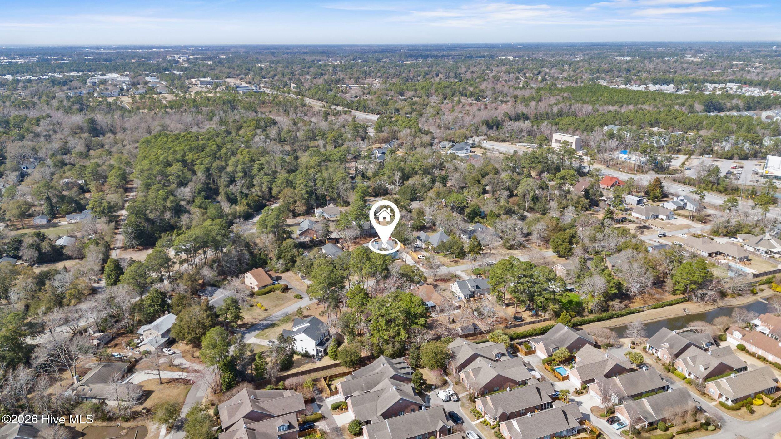 100558264 | Photo 64