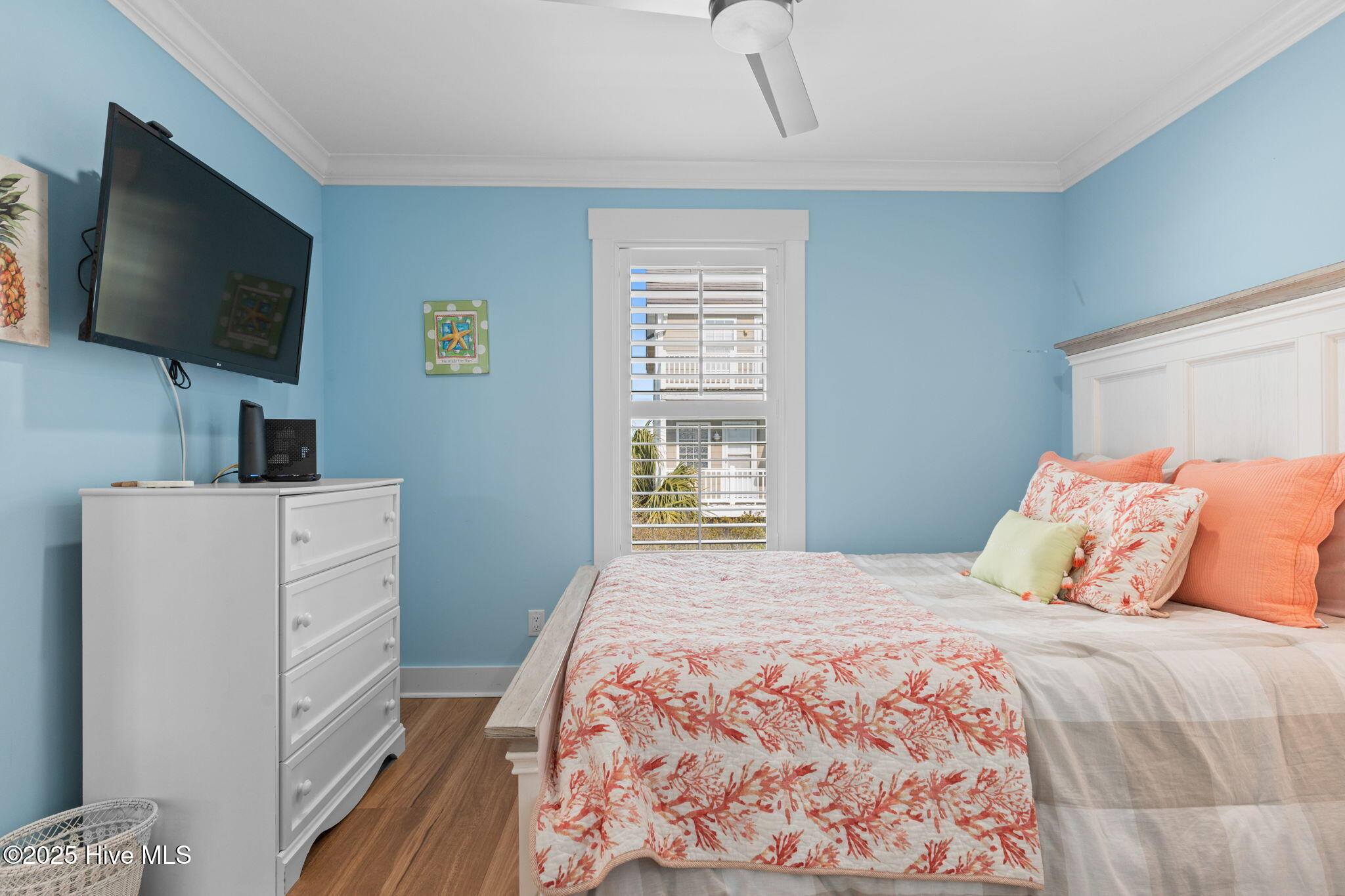 100541677 | Photo 47