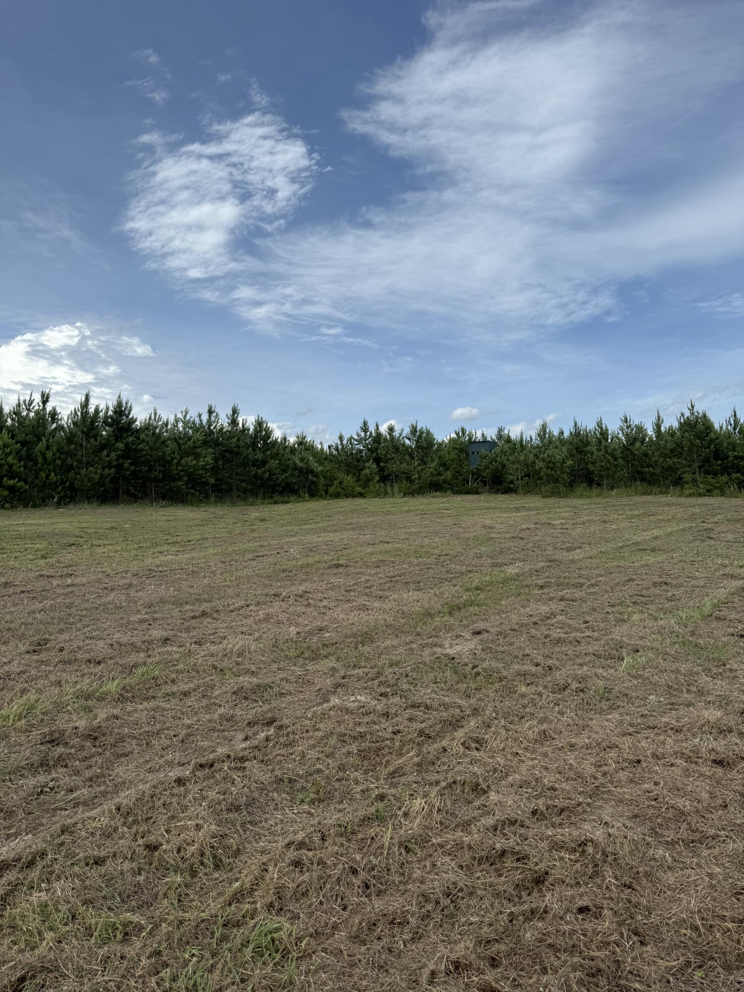 Homes for sale in Girard, GA | 0 Smith Chapel Rd, Girard, GA 30426 | MLS# 543848