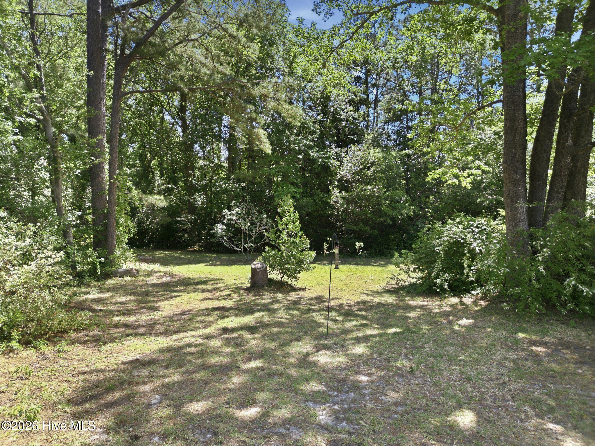 100568966 | Photo 67