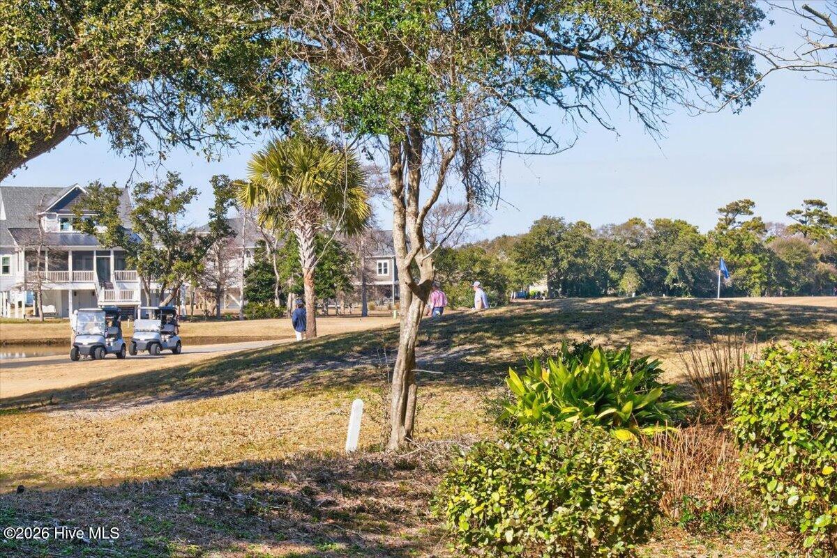 100551155 | Photo 74