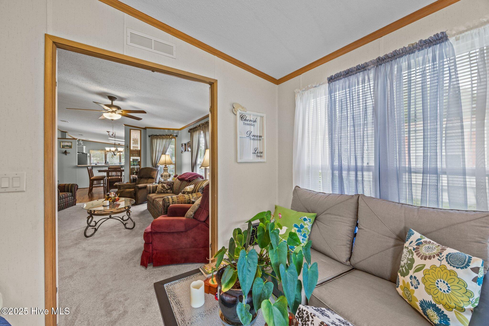 100514117 | Photo 21