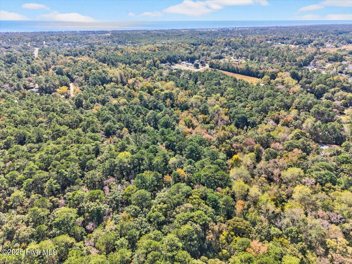 100538805 | Photo 16