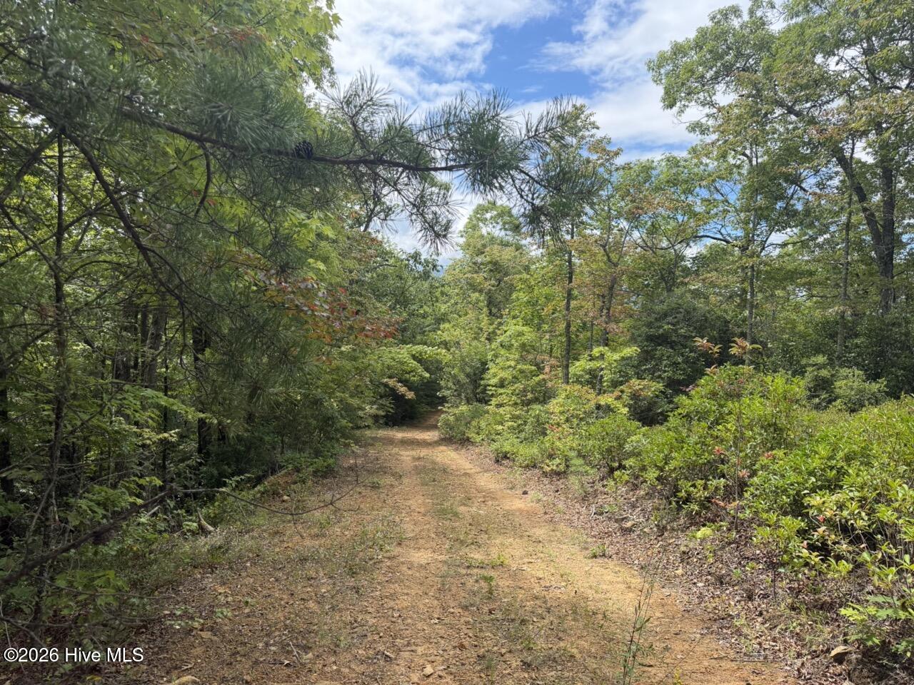 5th image of 760 Cliff Top Trl, Andrews, NC 28901 | MLS# 100593974