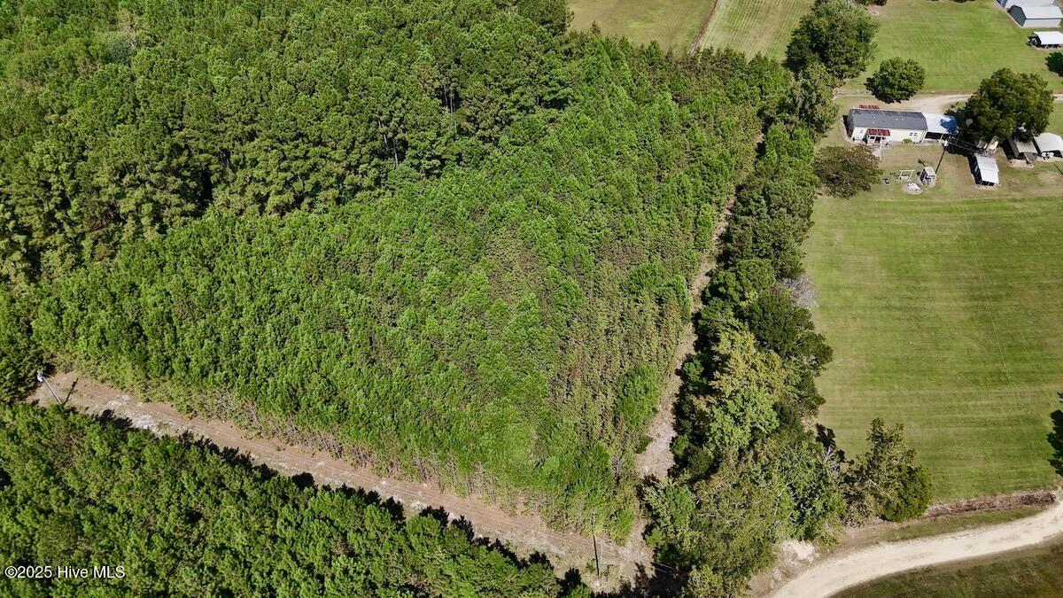 100531803 | Photo 15