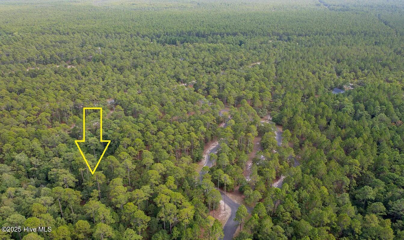 100537919 | Photo 14