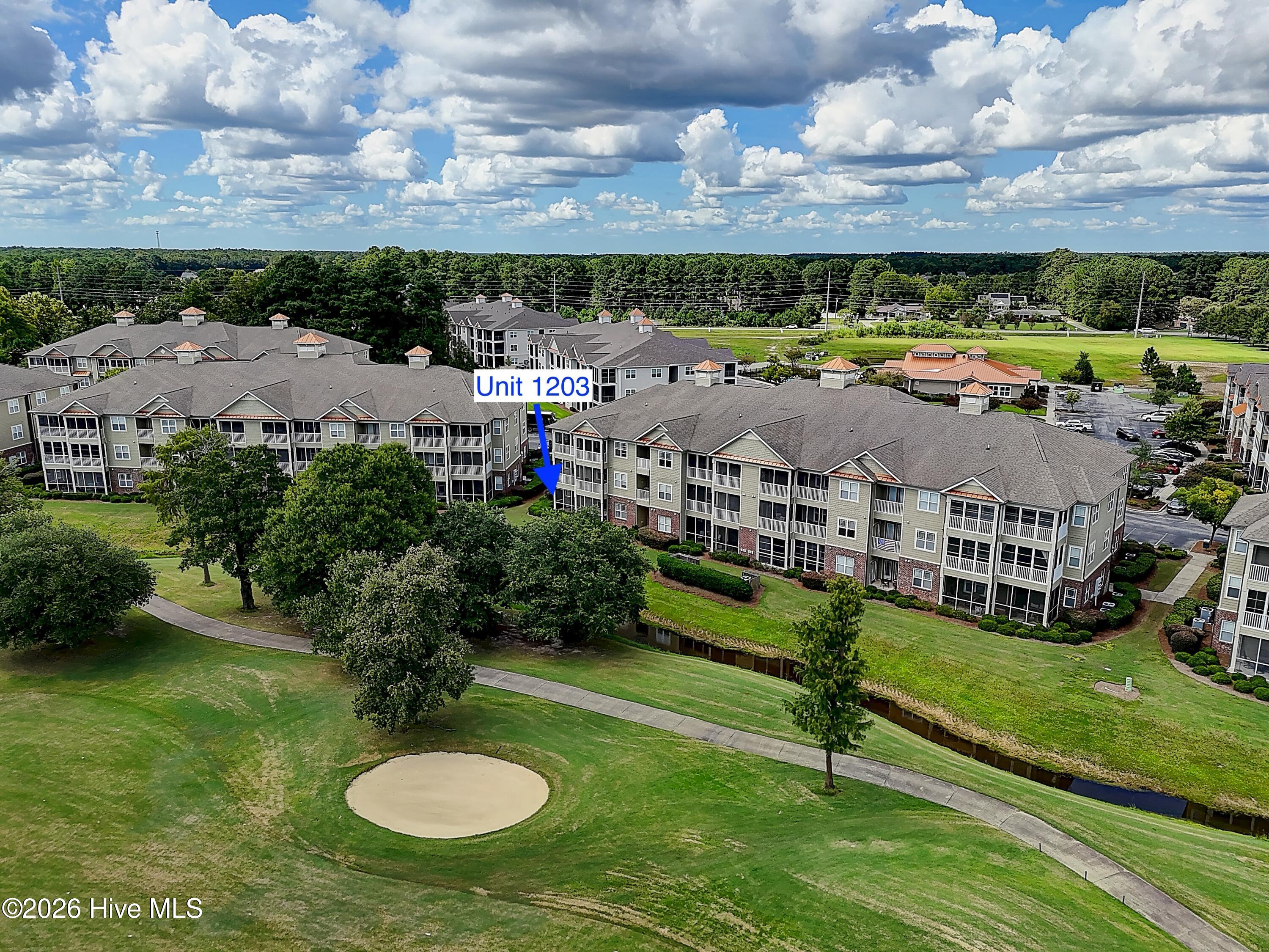 100569684 | Photo 51