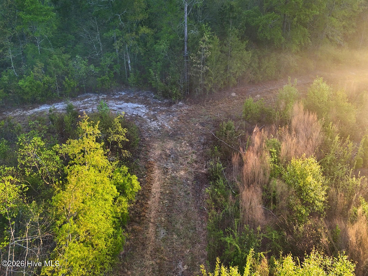 0 Durwood Evans Road, Beulaville, NC, 28518