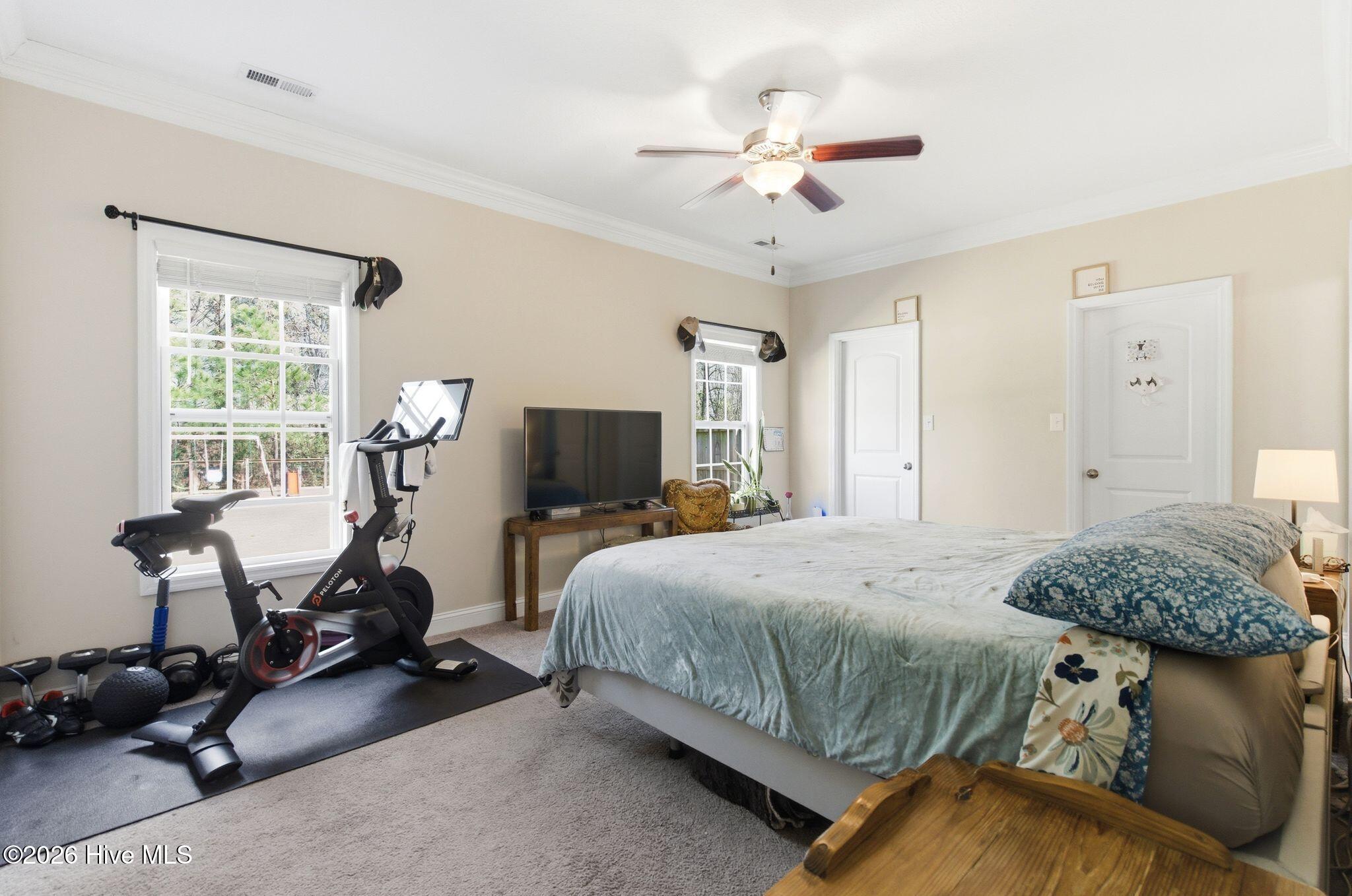 100558207 | Photo 20