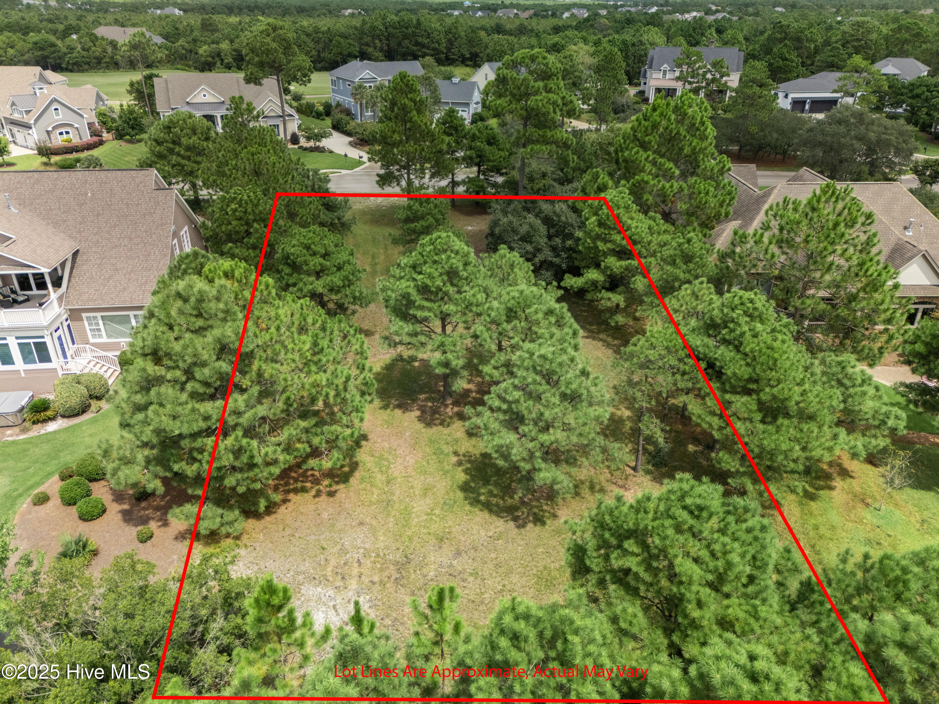 100569790 | Photo 24