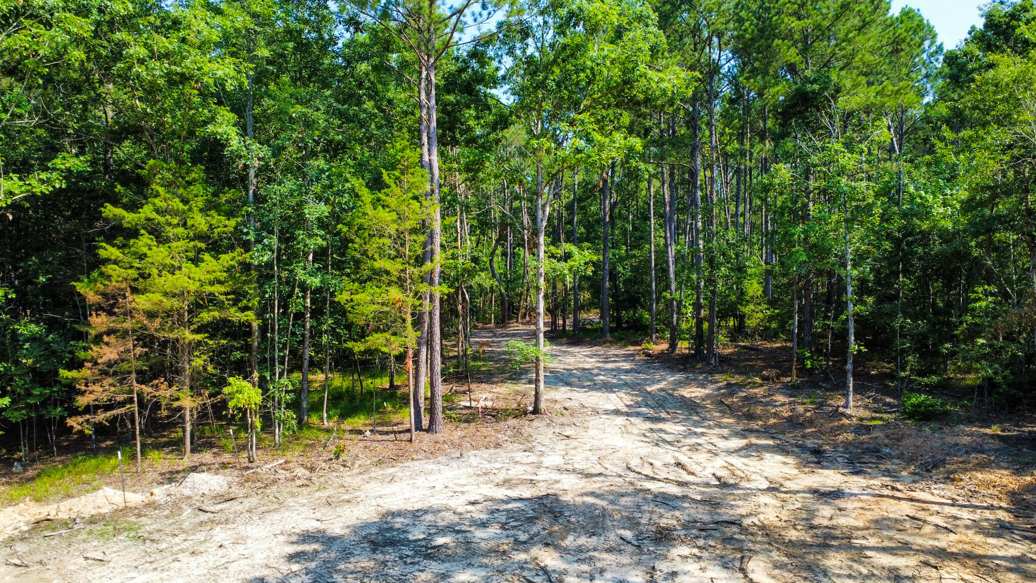 0 Backway Road, Lincolnton, GA, 30817