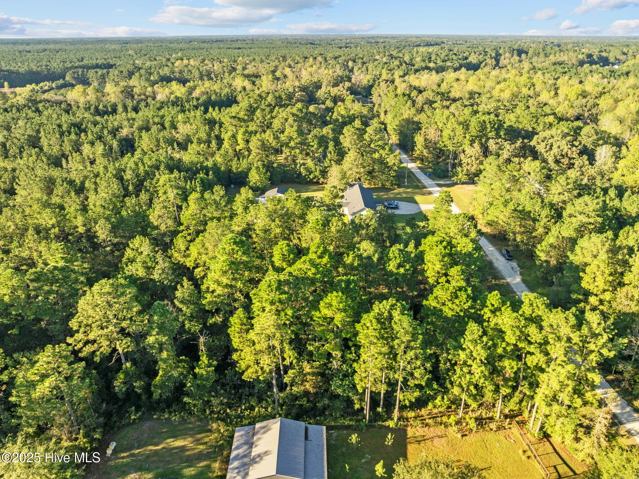 100539156 | Photo 16