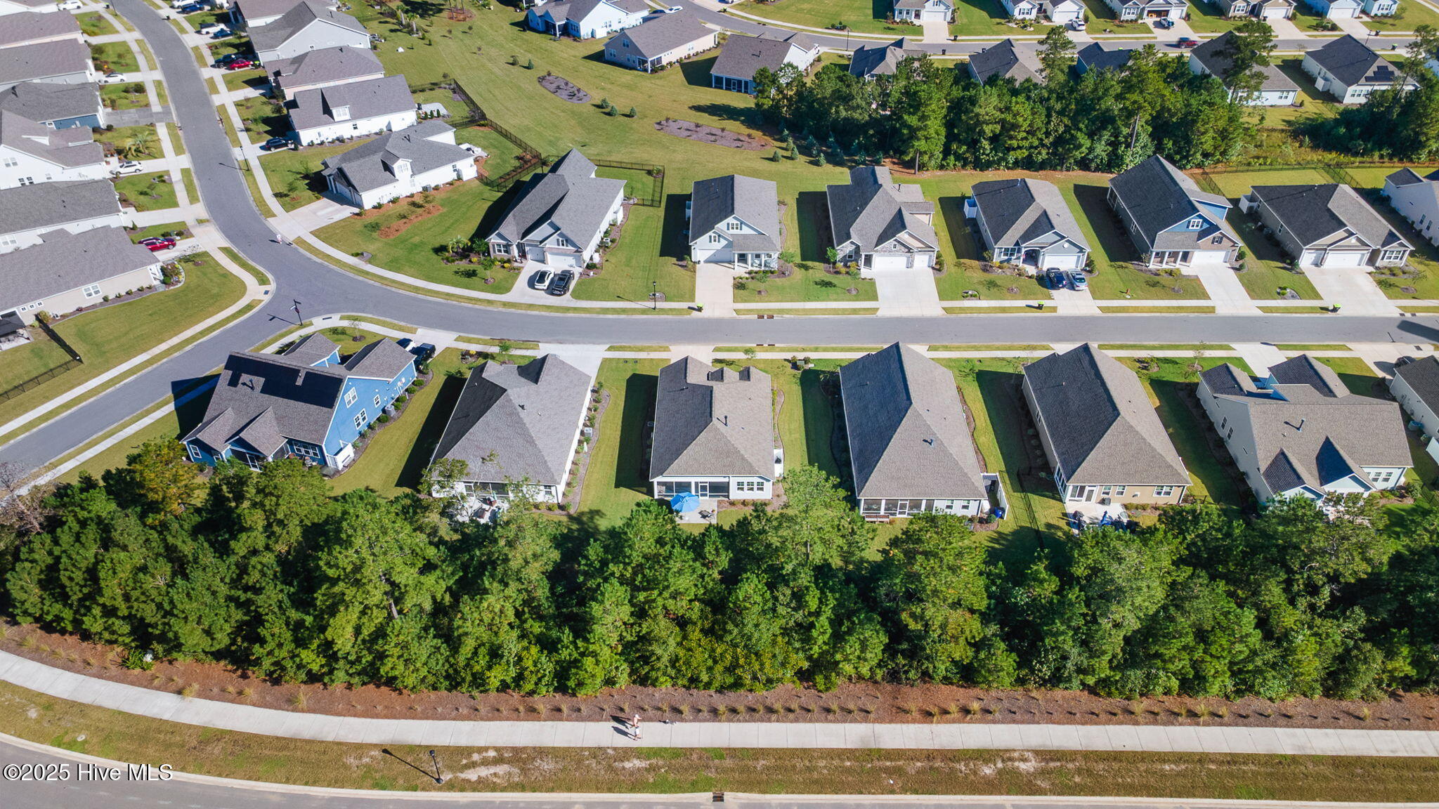 100534721 | Photo 35