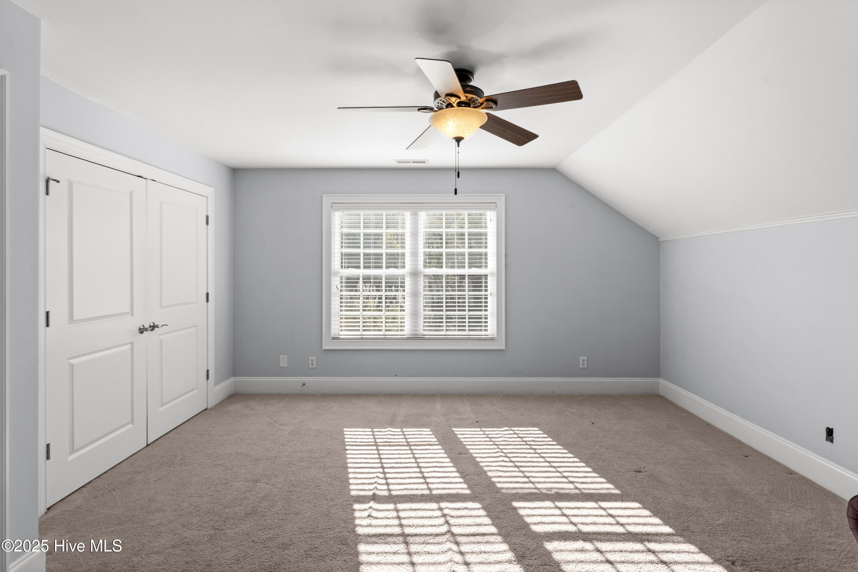 100538387 | Photo 32