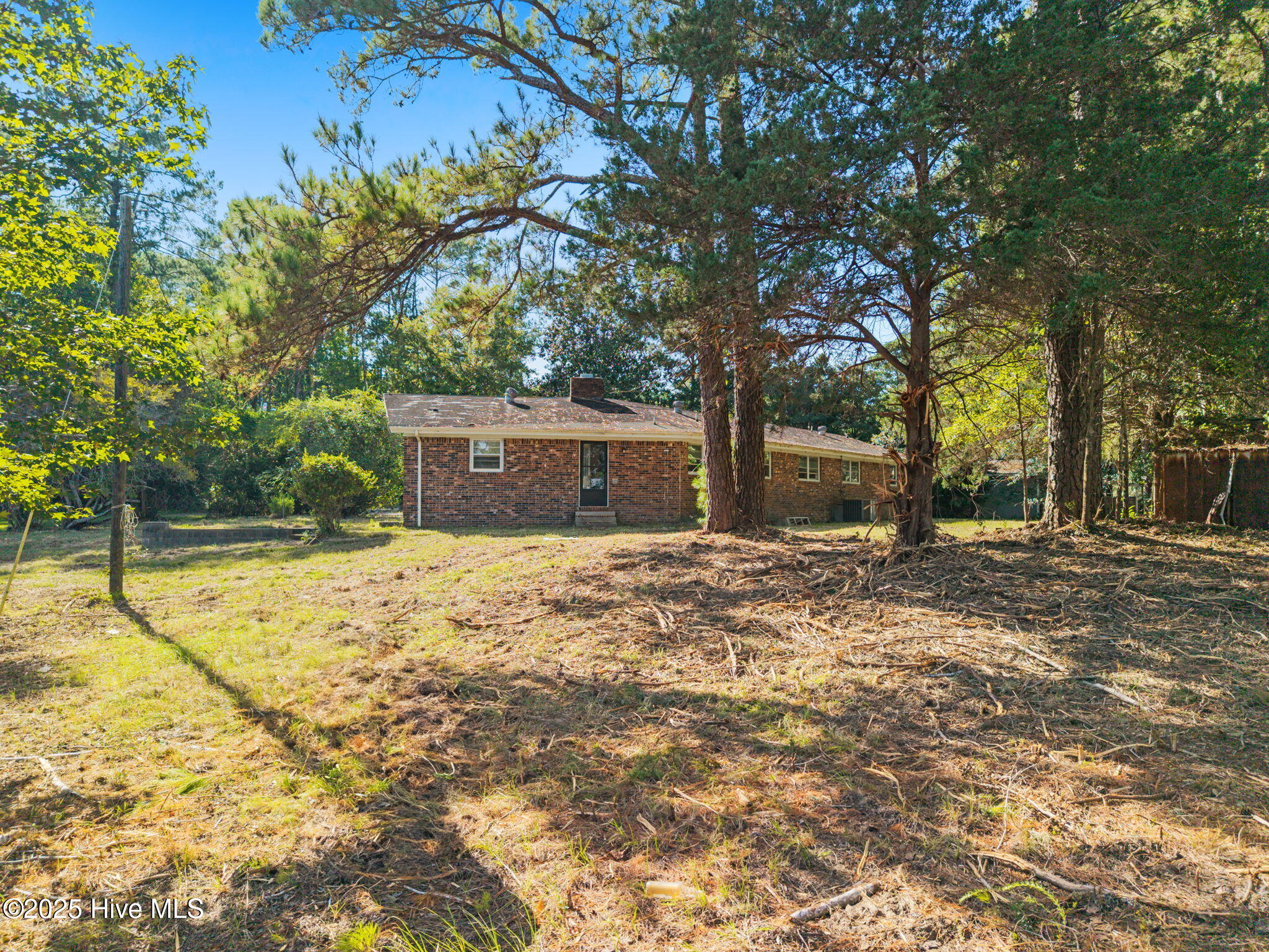 100534429 | Photo 10