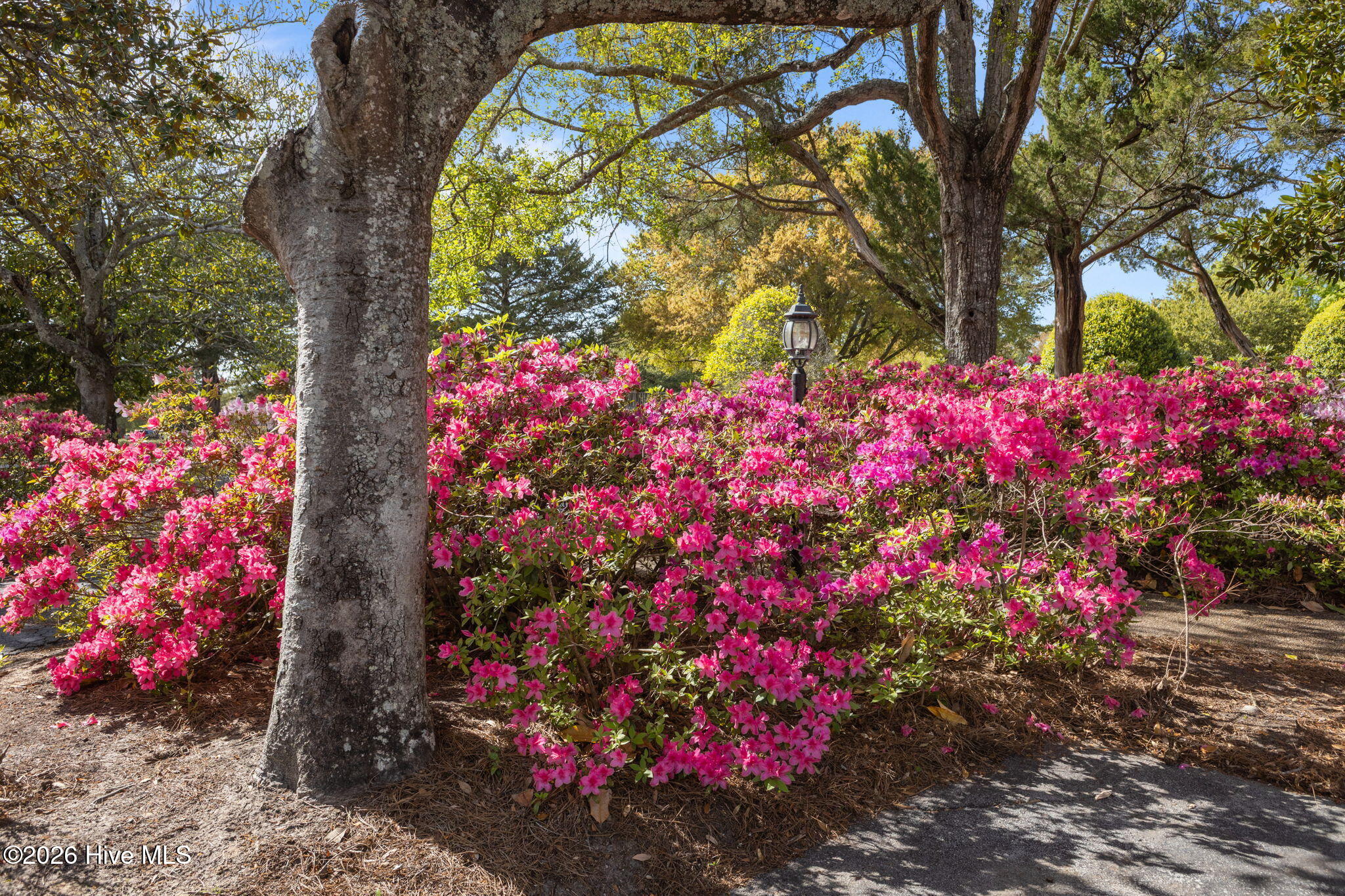 142 Corncake Circle,Morehead City