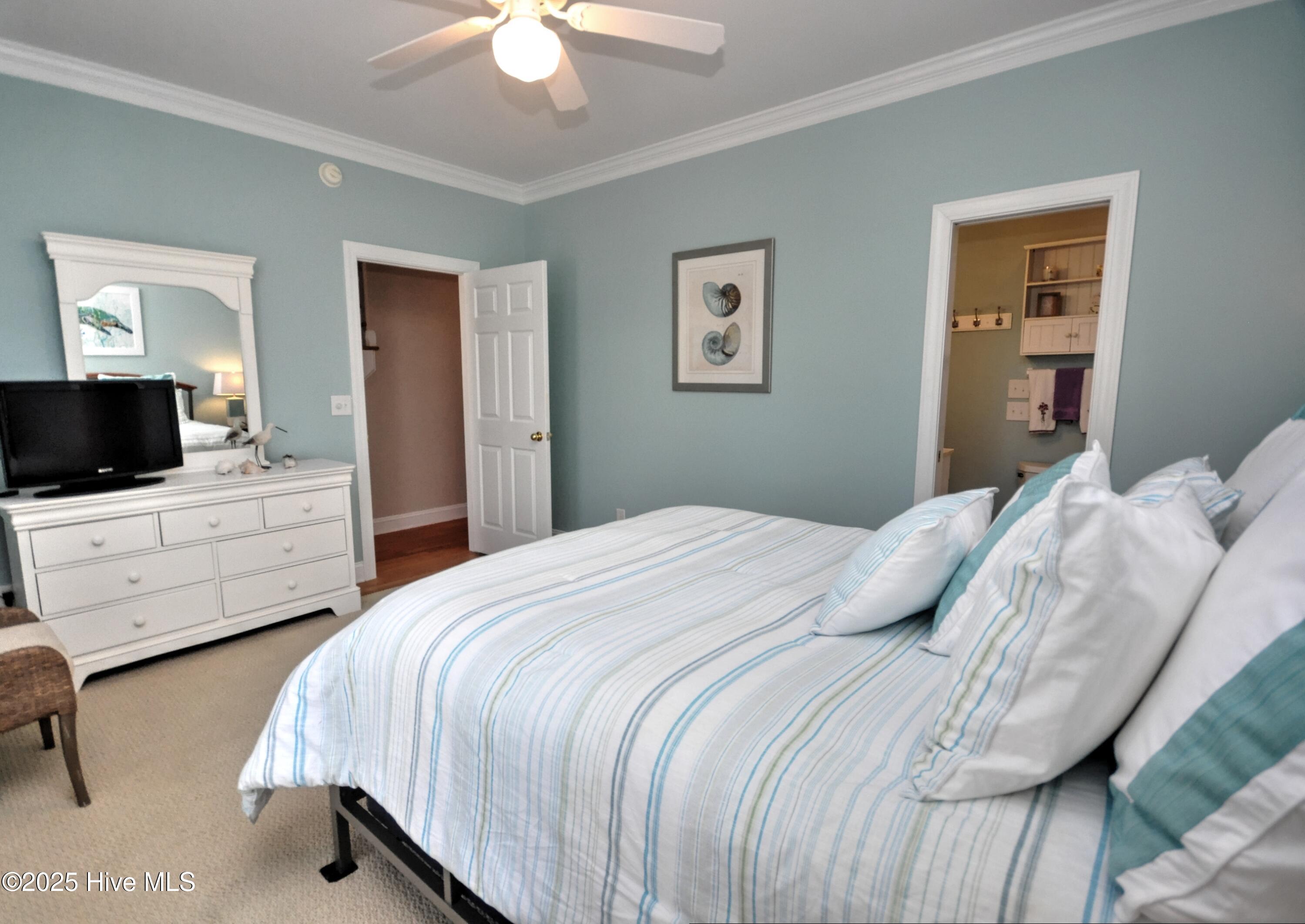 100537196 | Photo 32