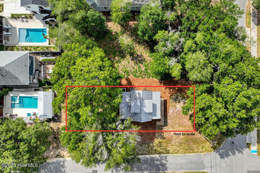 100532253 | Photo 30