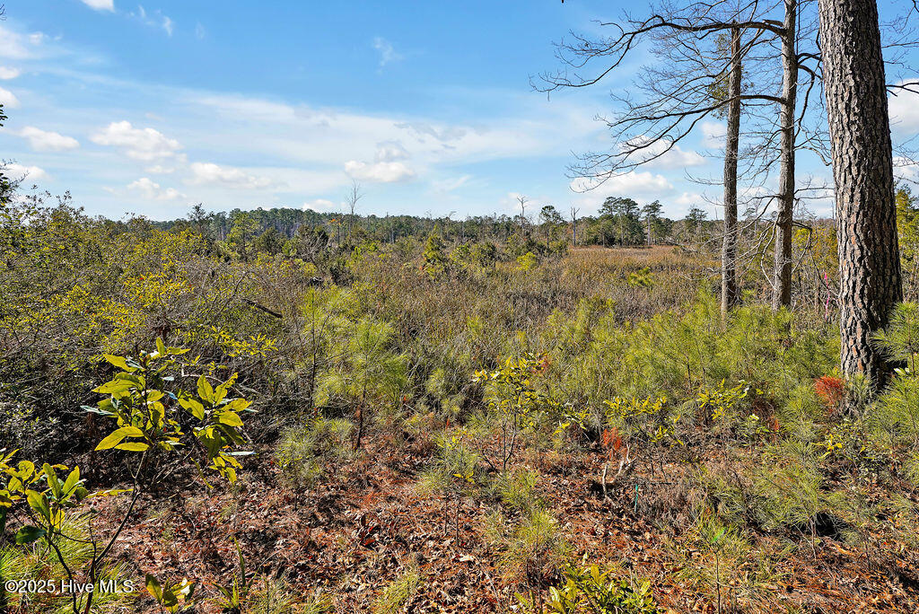 100482094 | Photo 10