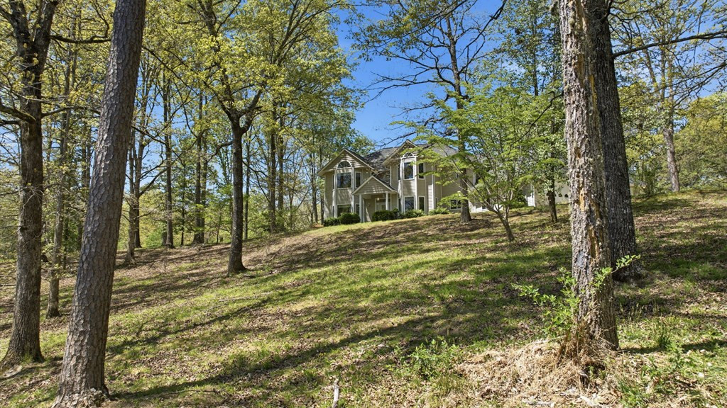 838 Peachtree Hills Road, Murphy, NC 28906 Listing Photo  10
