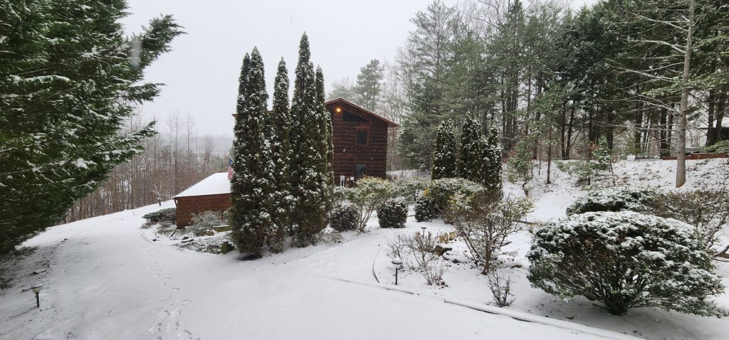145 Skyview Drive, Murphy, NC 28906 Listing Photo  40