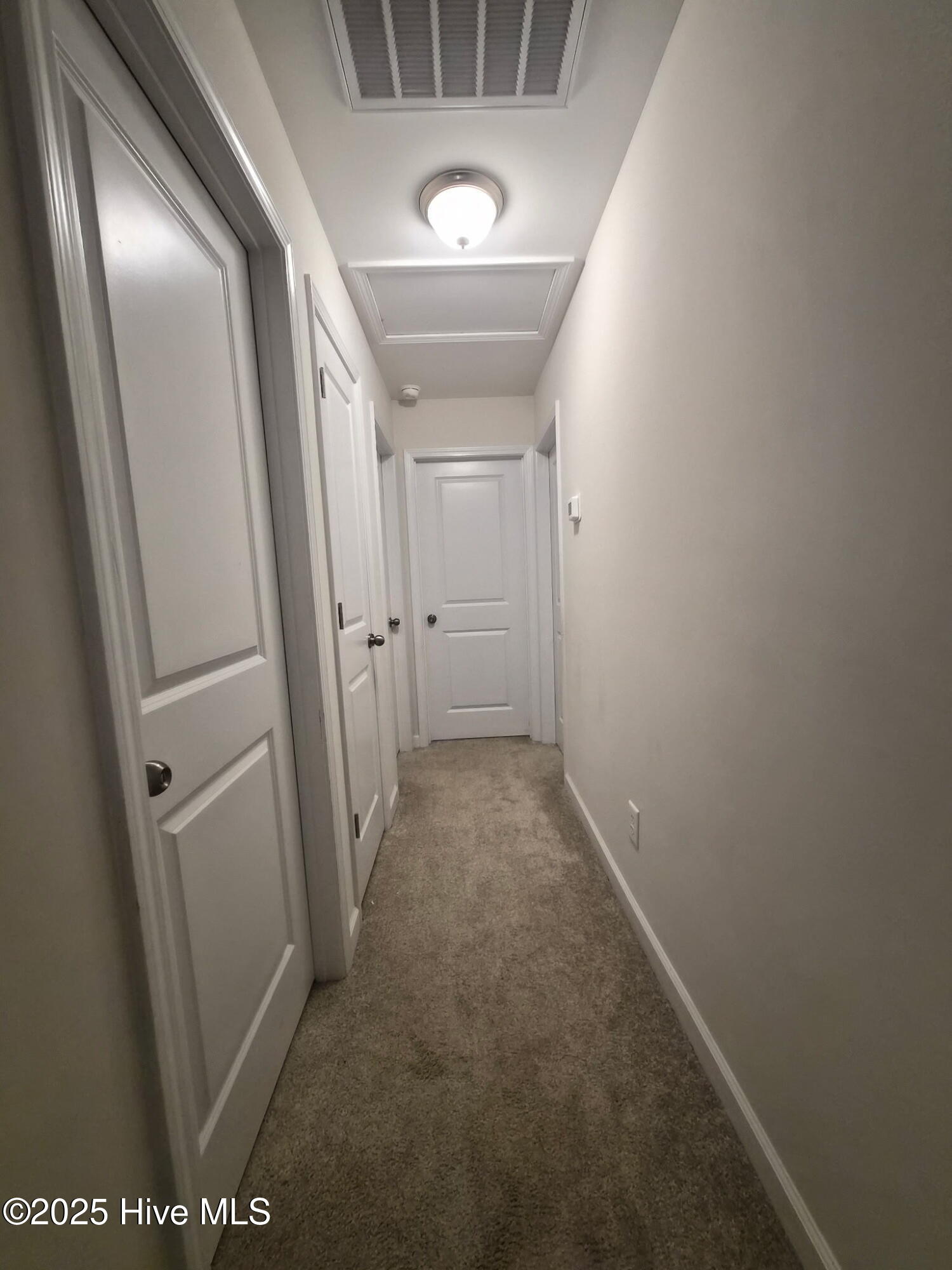 100539577 | Photo 21