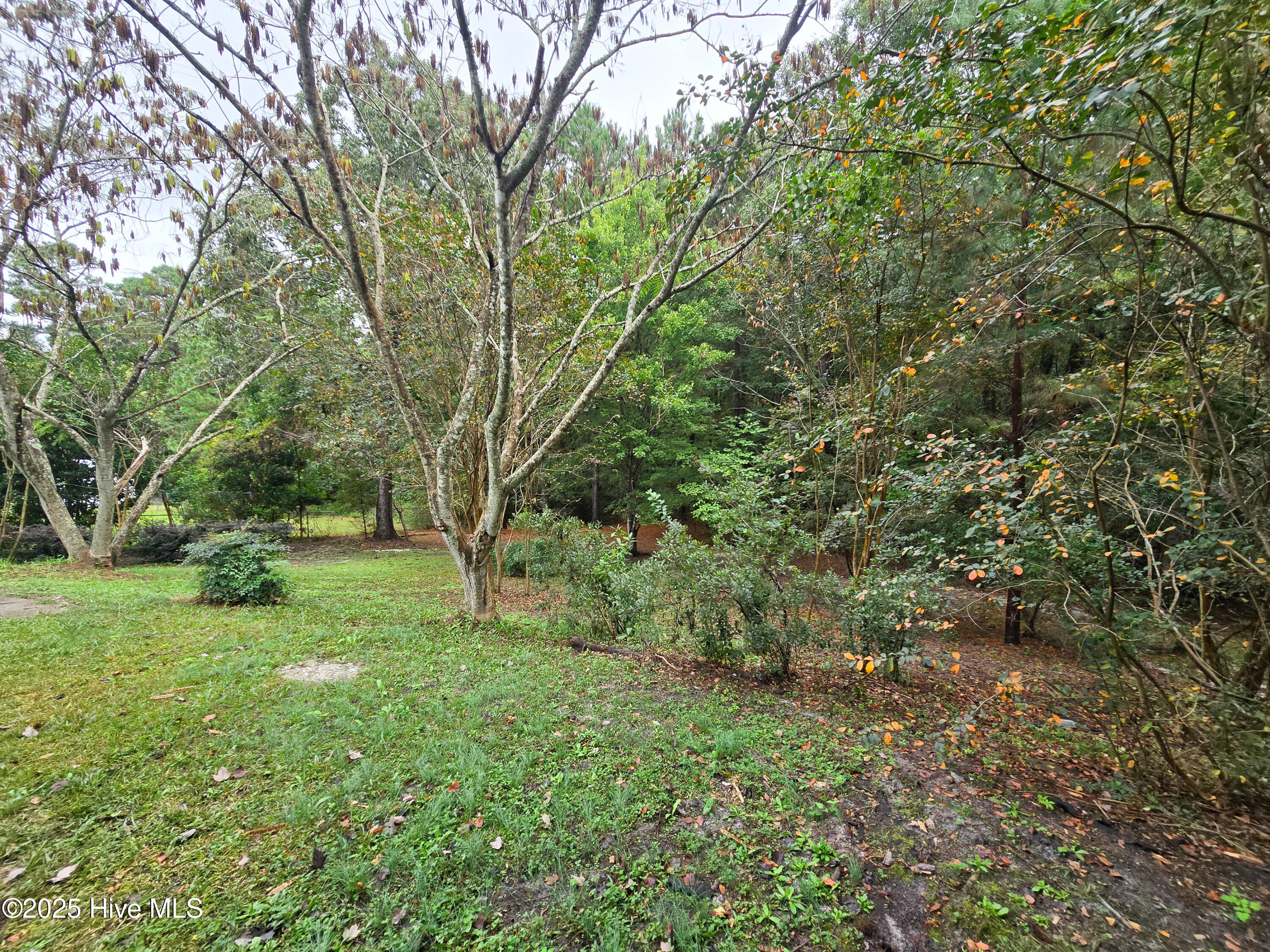 100533714 | Photo 33