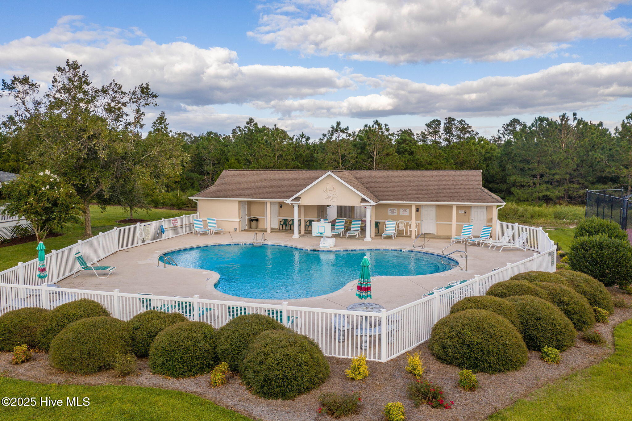 100556100 | Photo 23