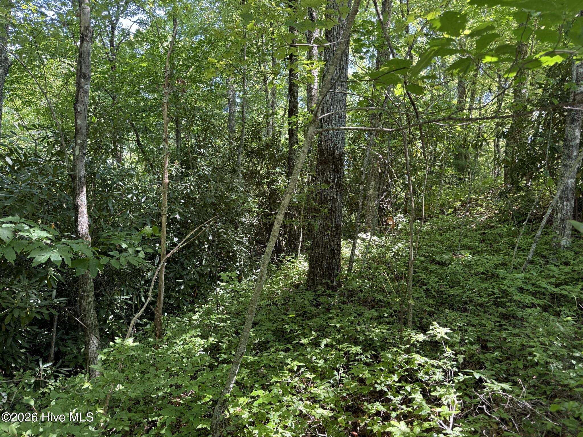 4th image of Lot 3 Amber Ln, Topton, NC 28781 | MLS# 100598519