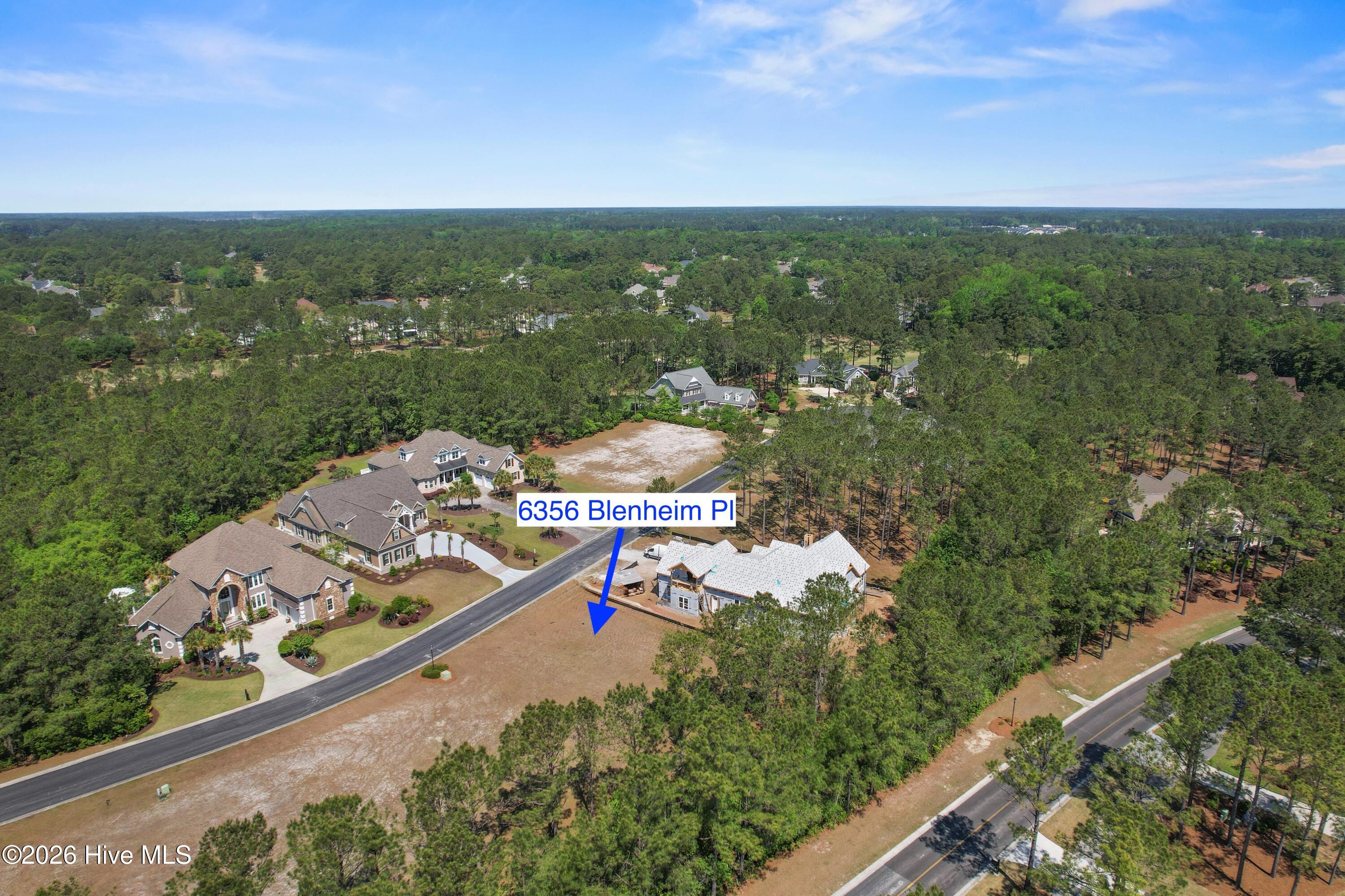 100570041 | Photo 10