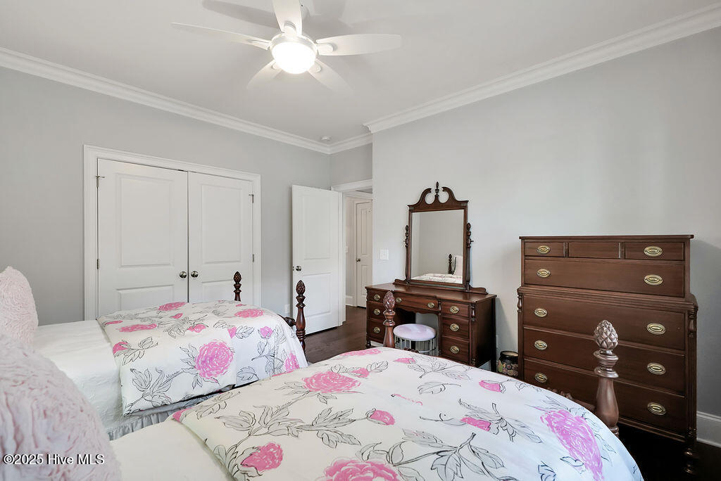 100535005 | Photo 26