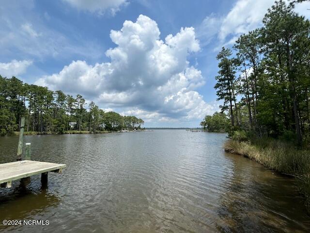 1039 Pasture Point Road,Merritt