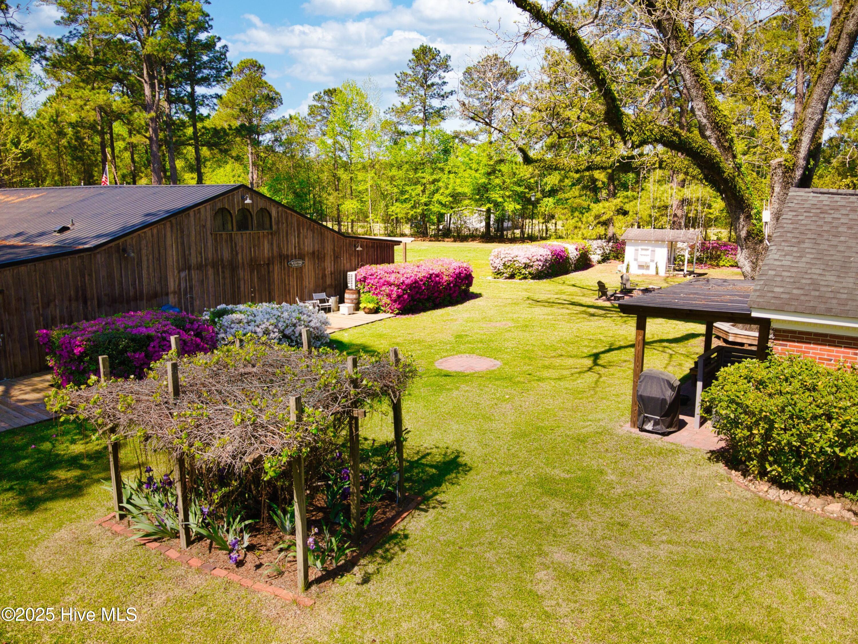 100500621 | Photo 10