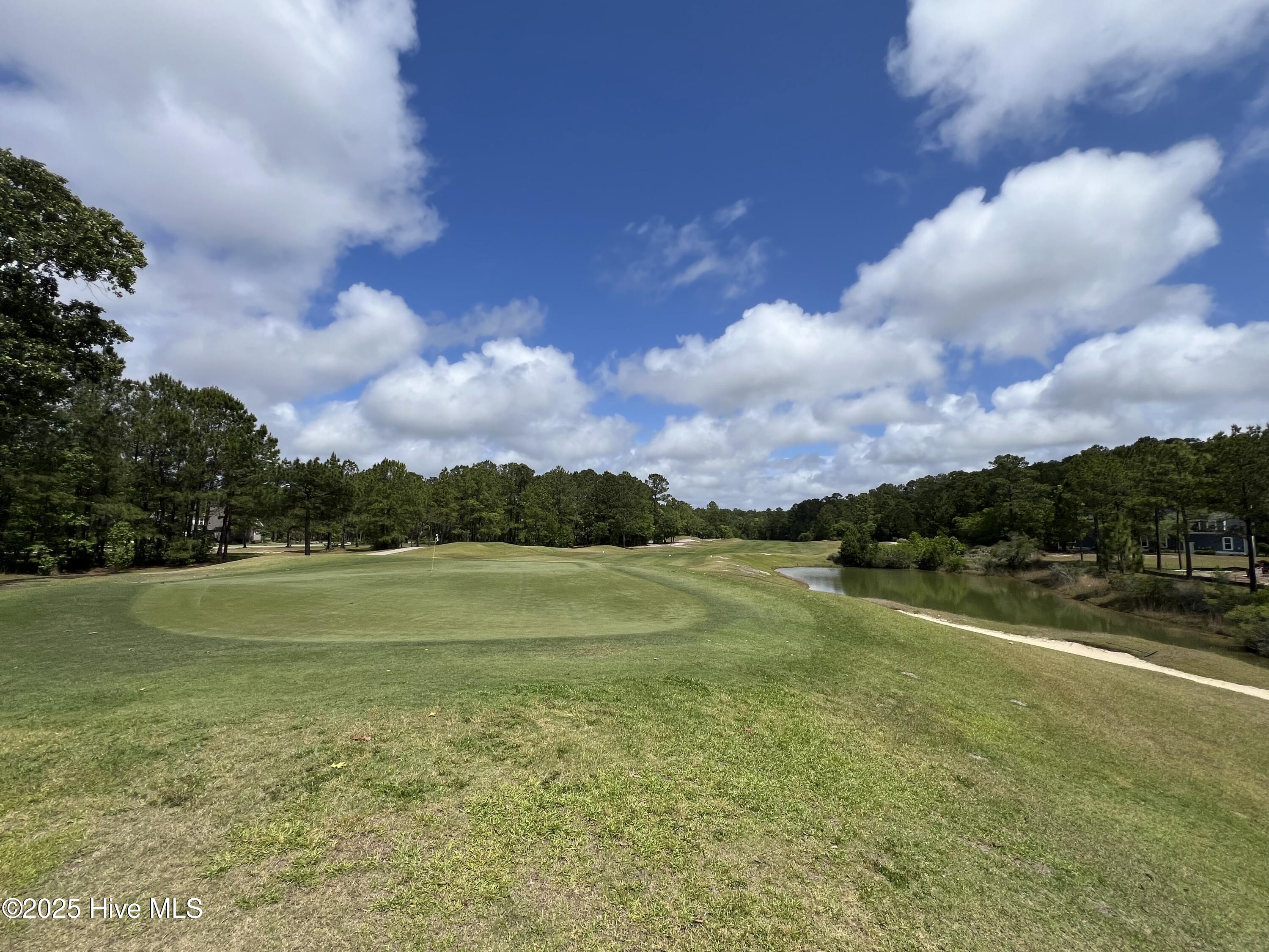 100509687 | Photo 33