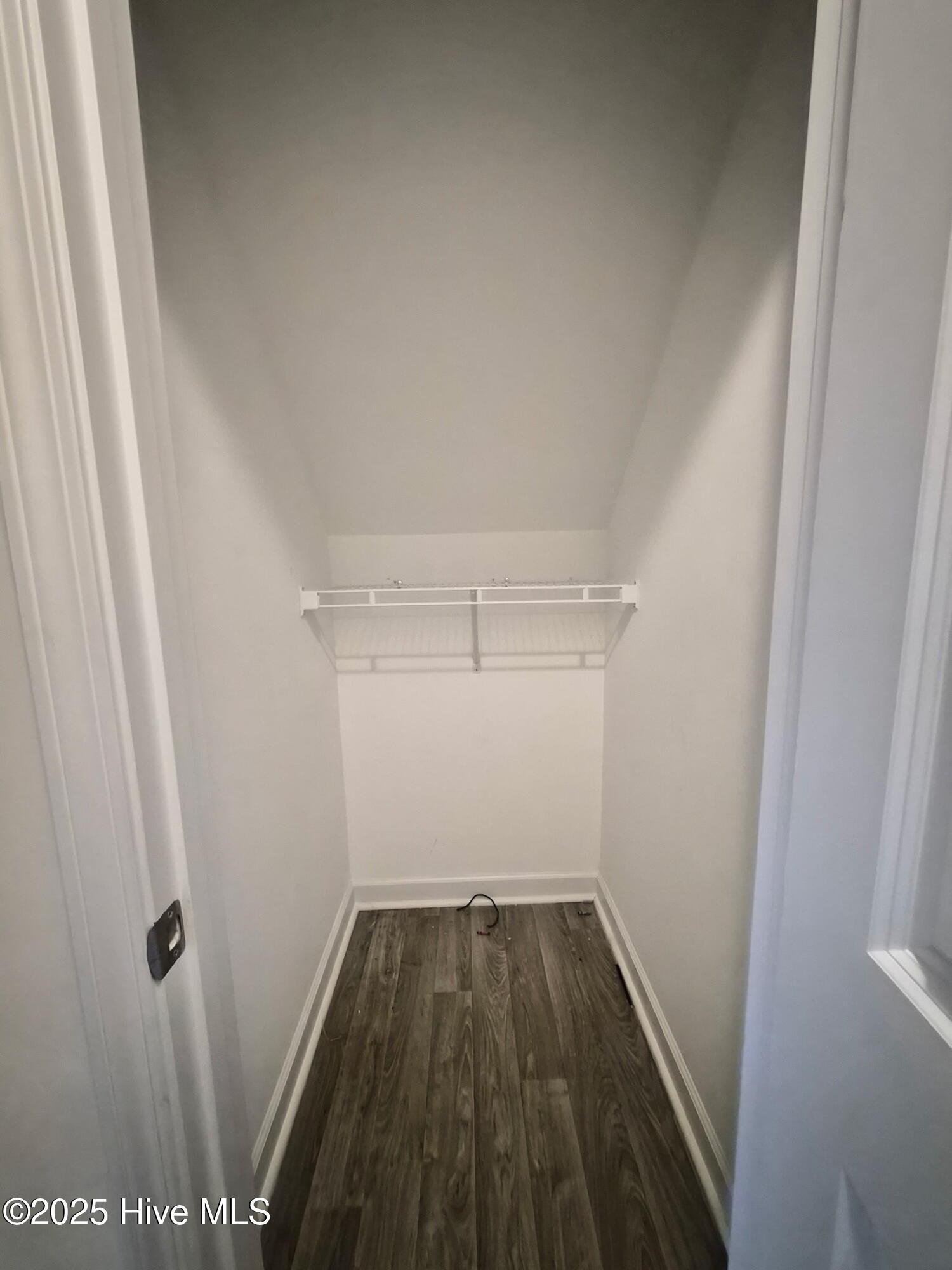 100539577 | Photo 19