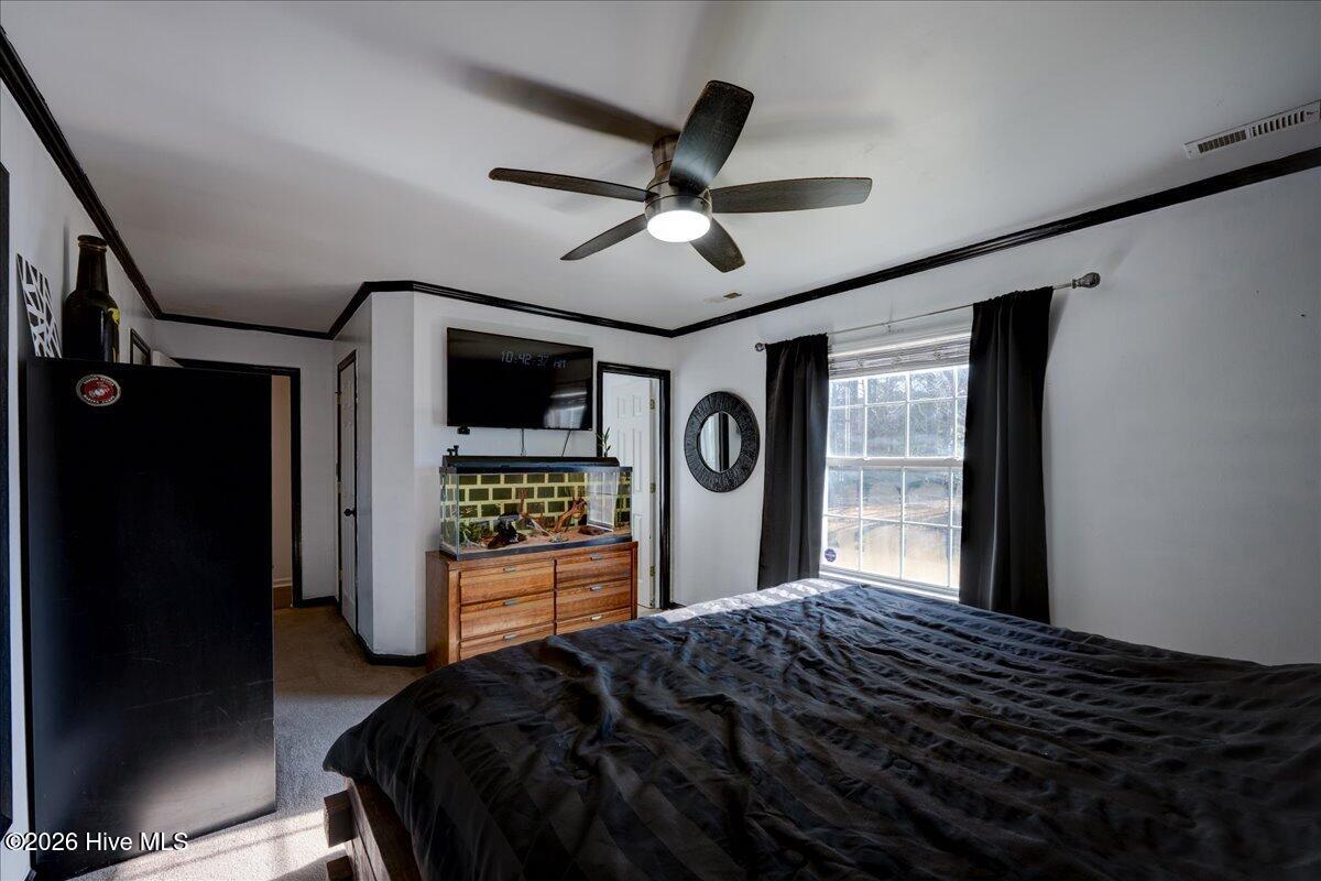 100548576 | Photo 29