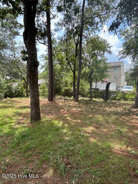 100528234 | Photo 24