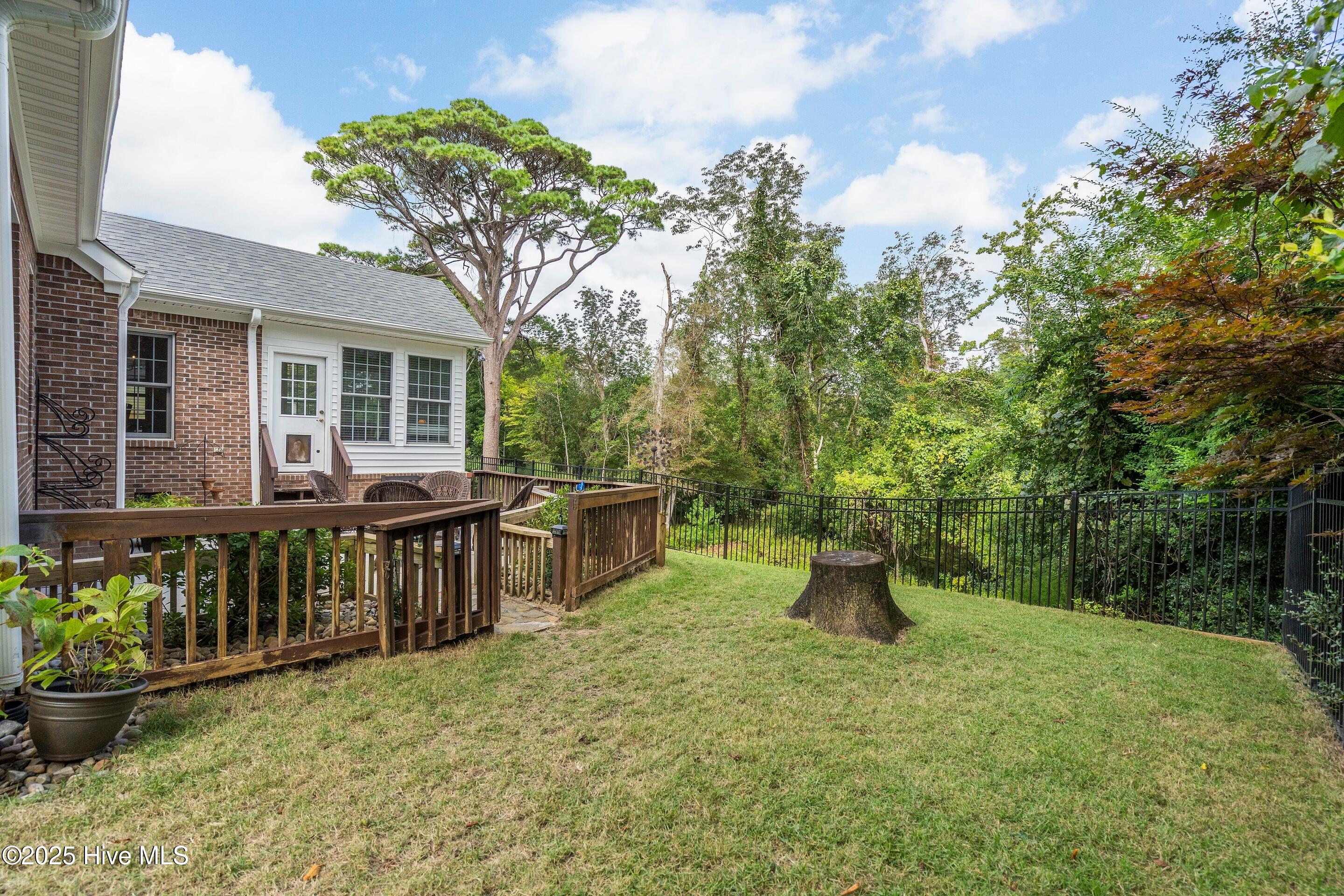 100530044 | Photo 47