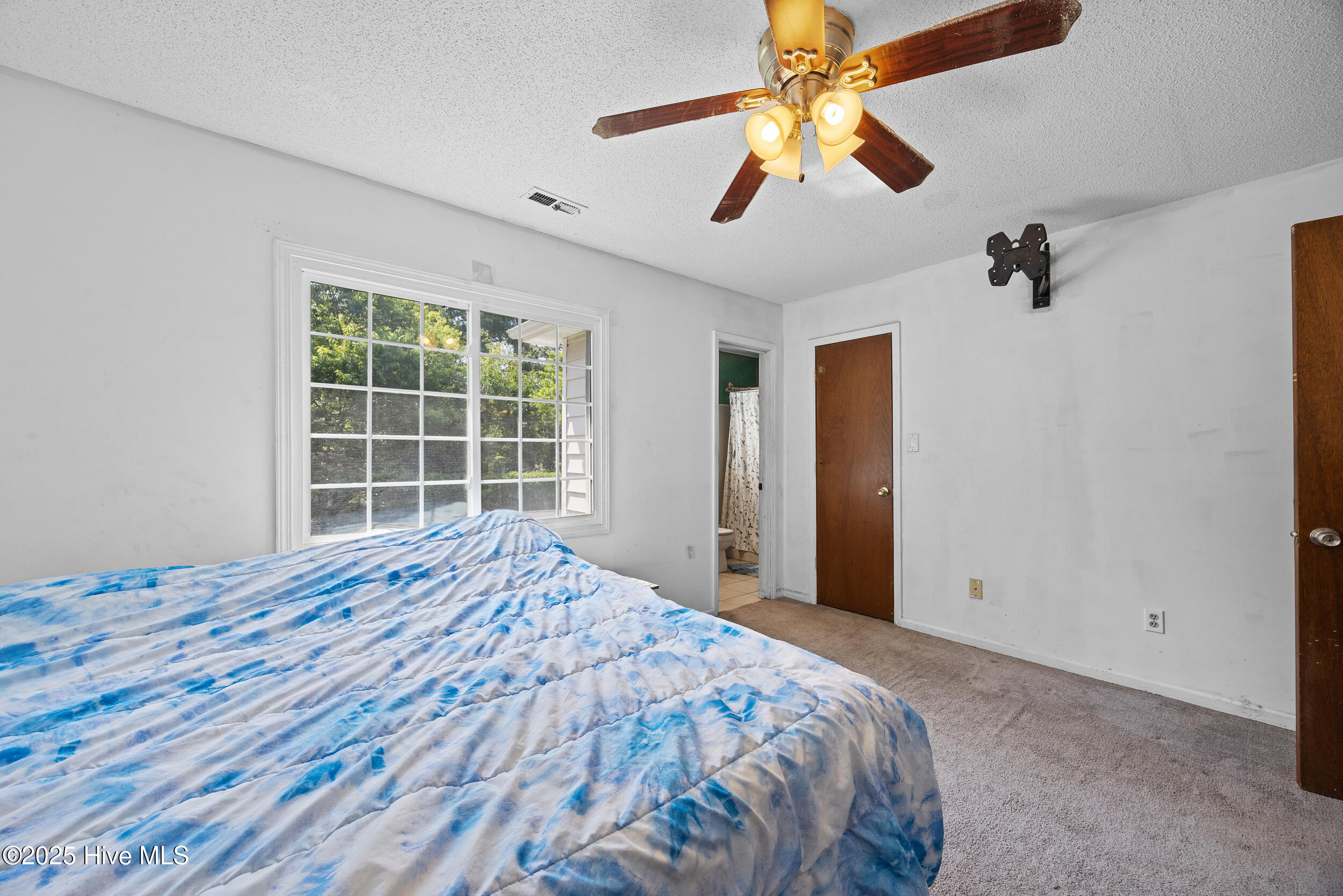 100514281 | Photo 21