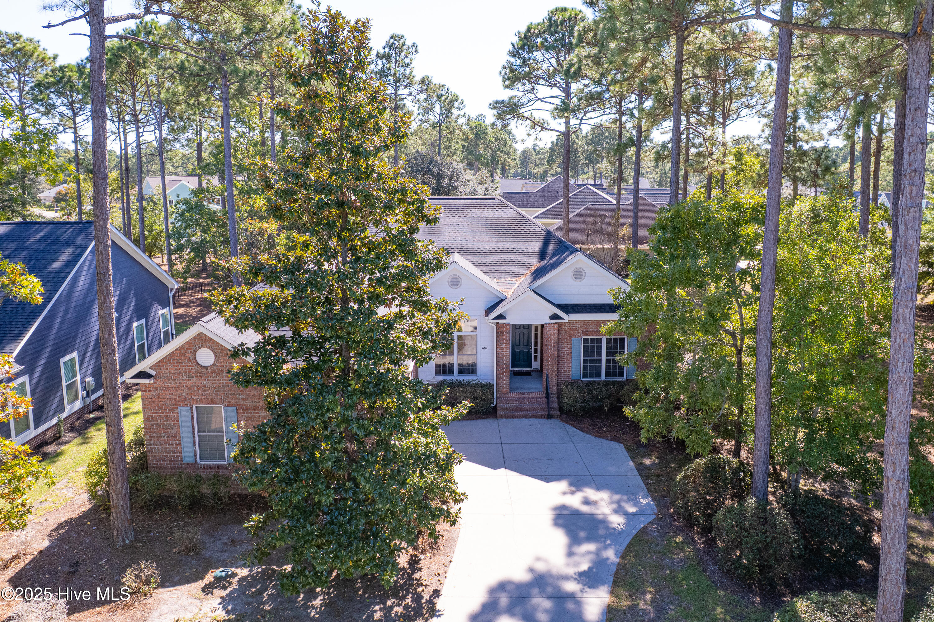 100537931 | Photo 31