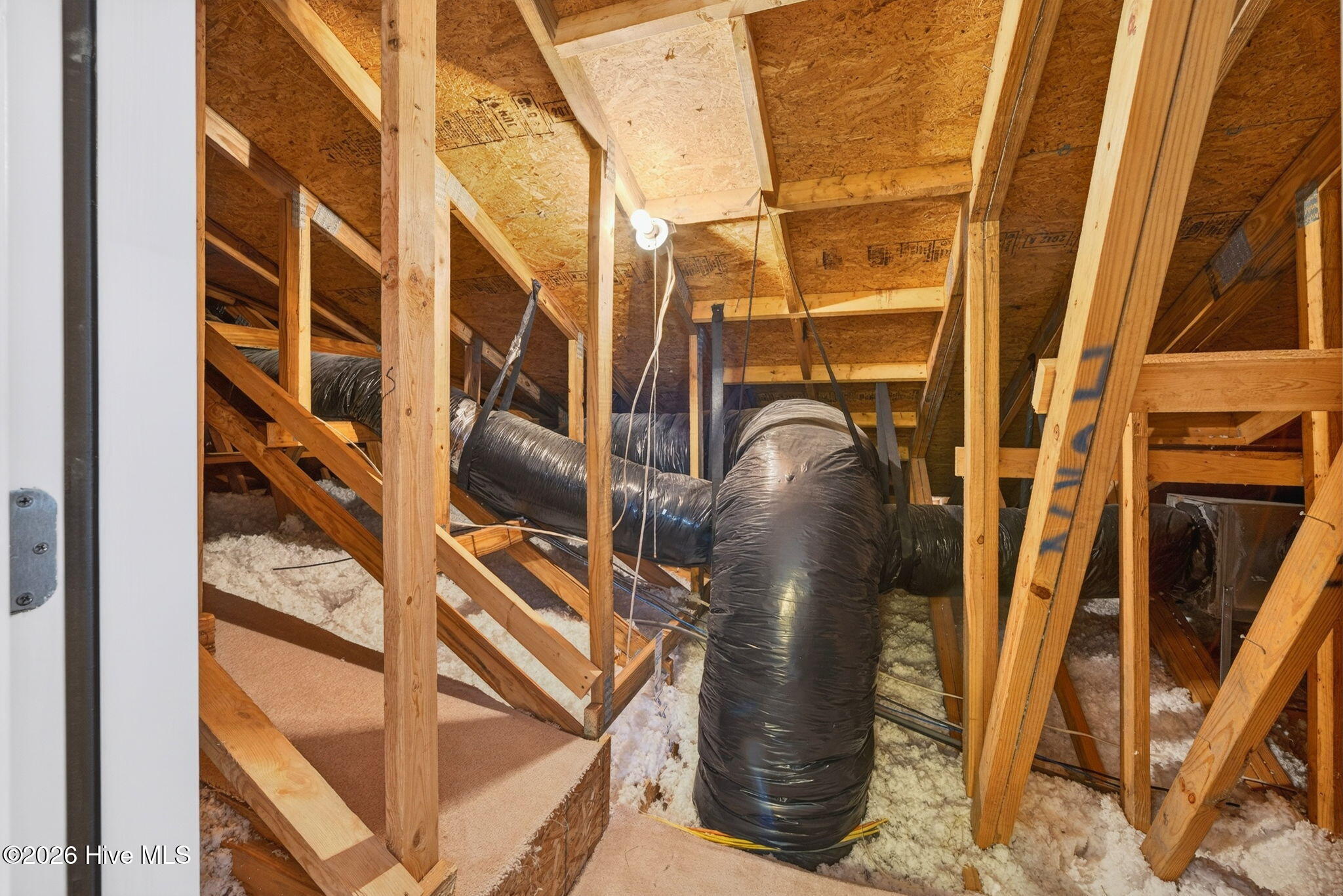 100558645 | Photo 39