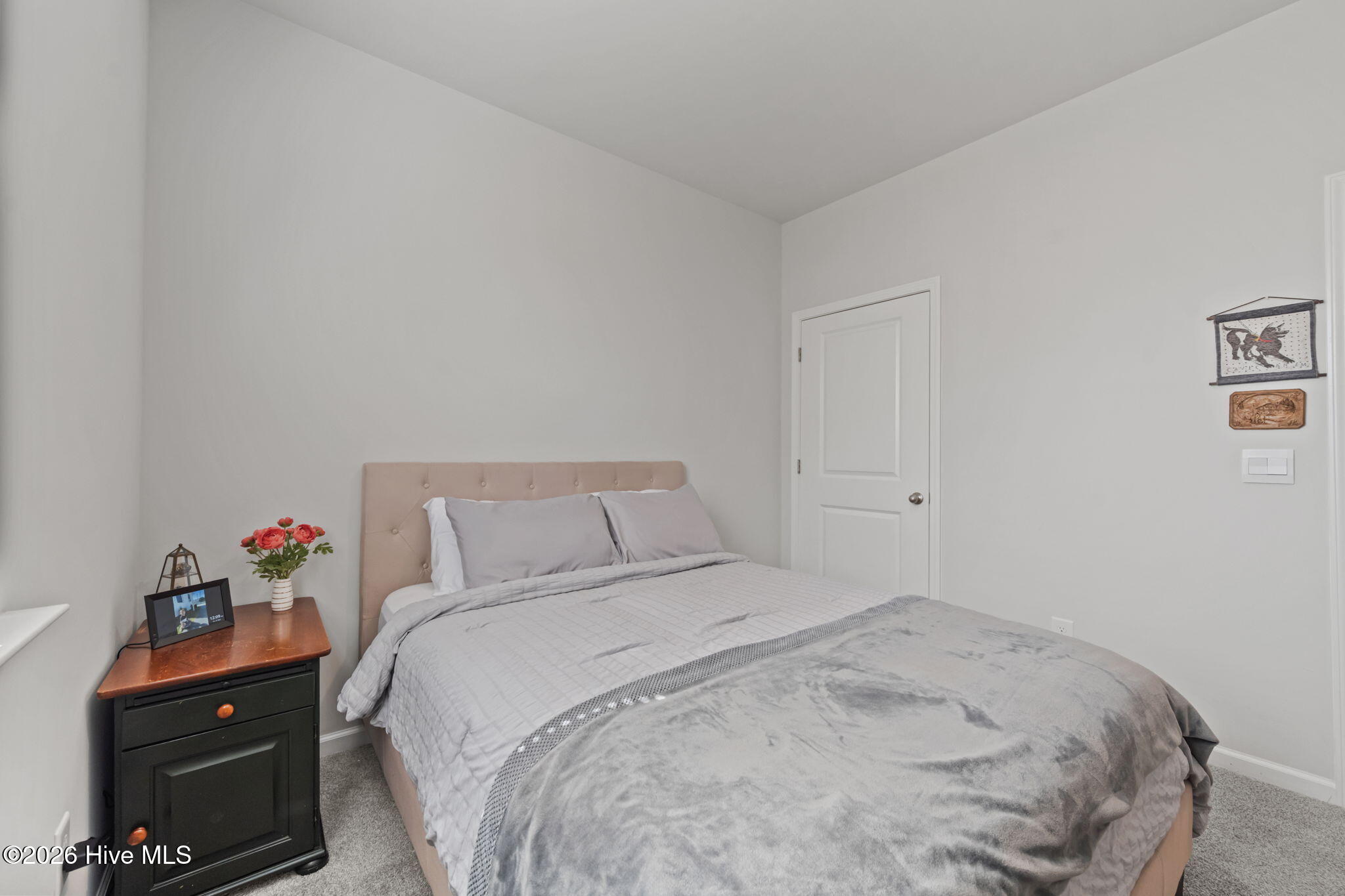 100564273 | Photo 31