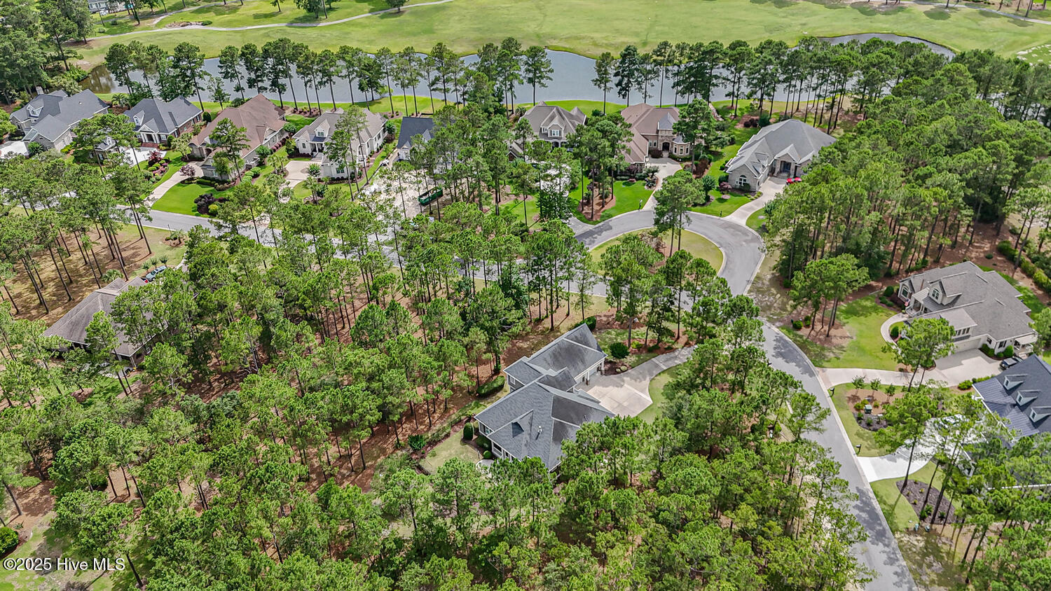 100566478 | Photo 65