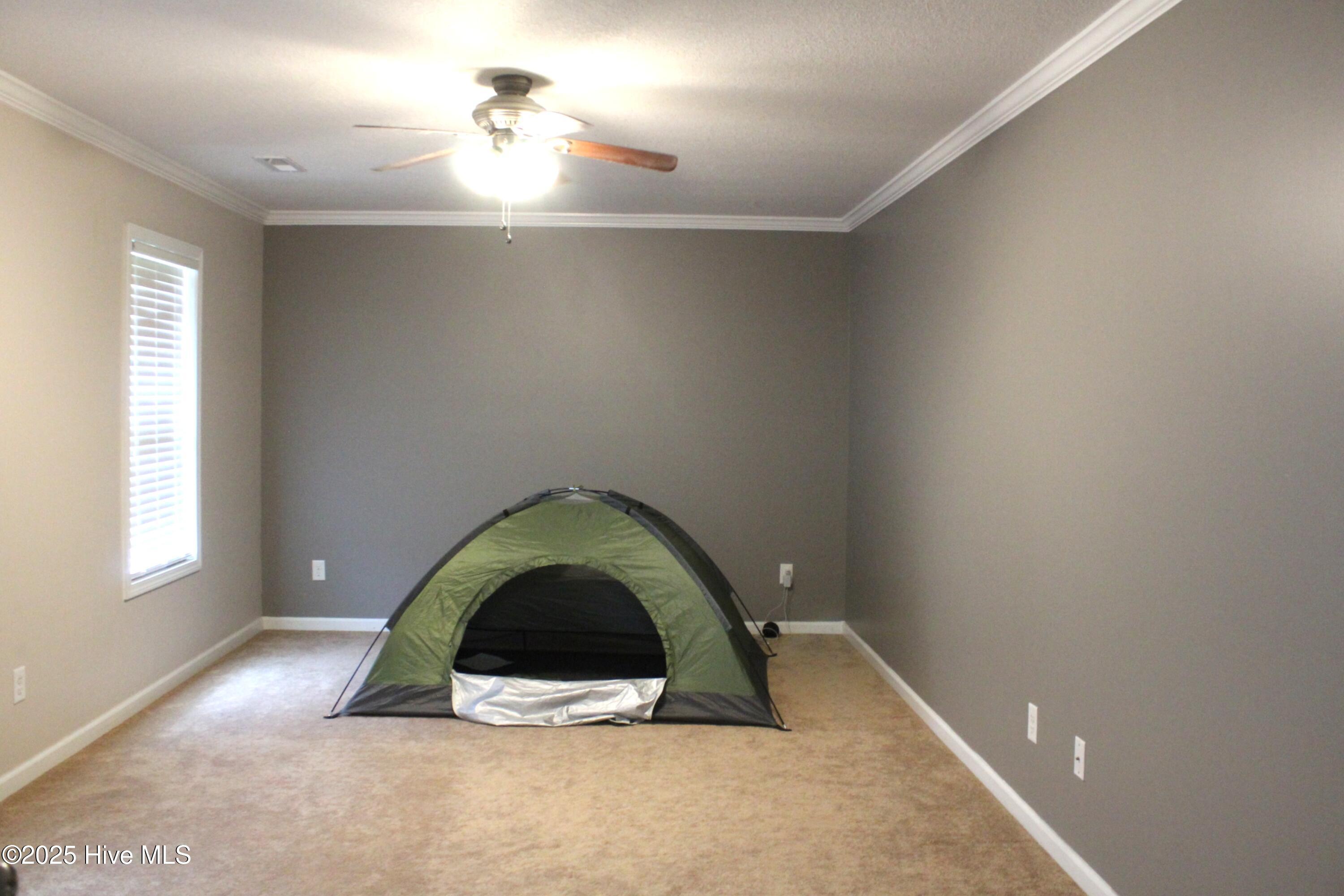 100555059 | Photo 12