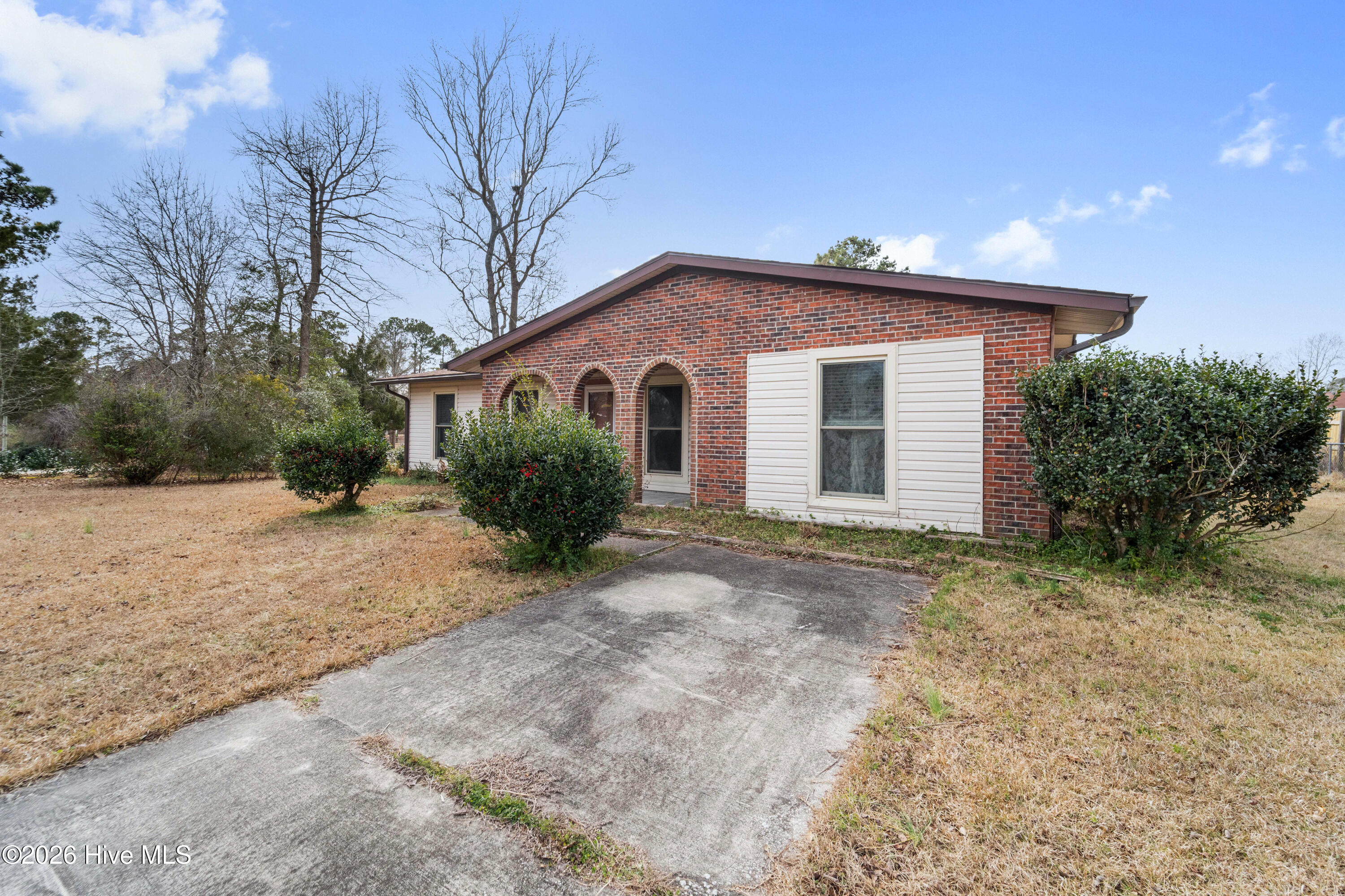 100556367 | Photo 43