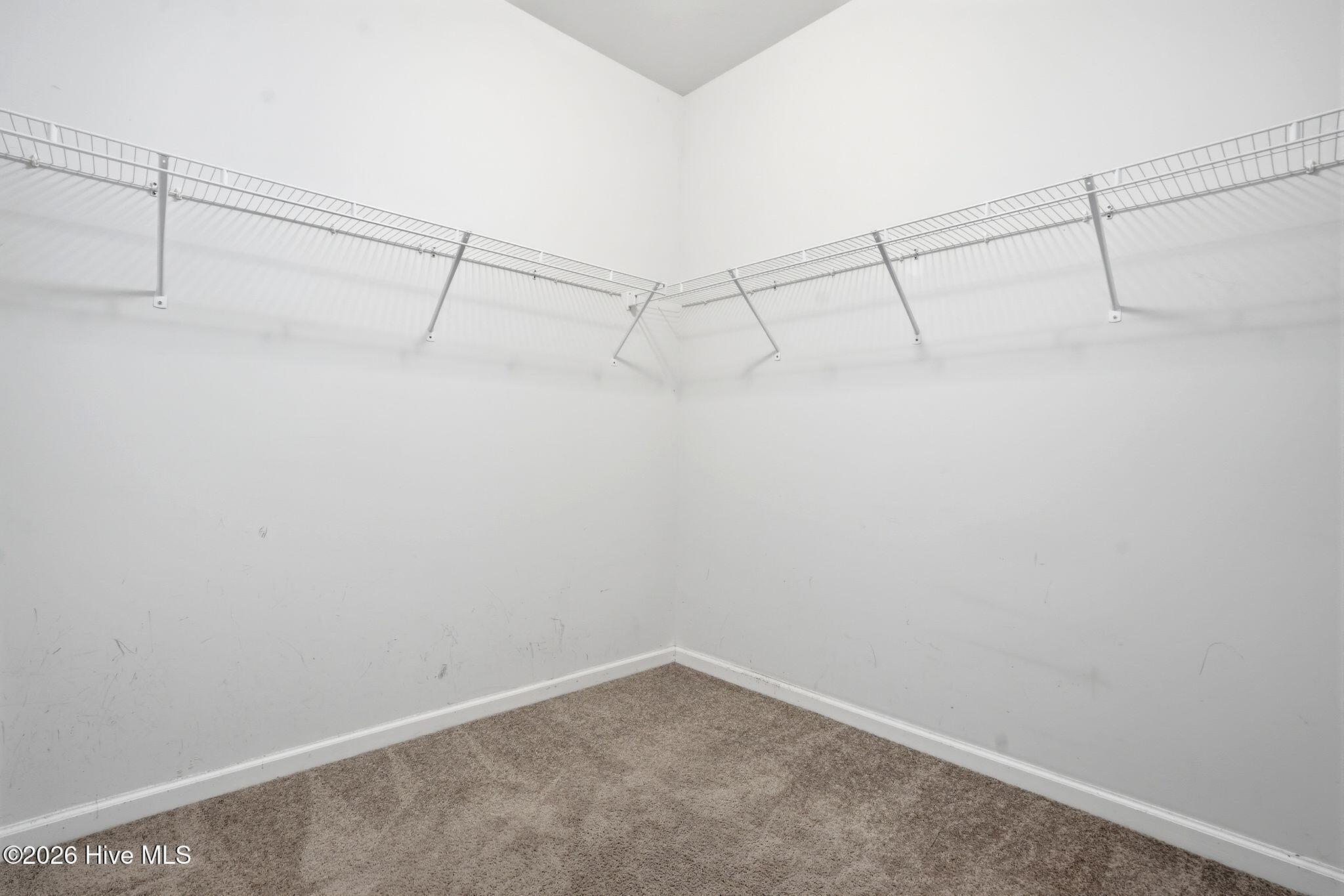 100560381 | Photo 17