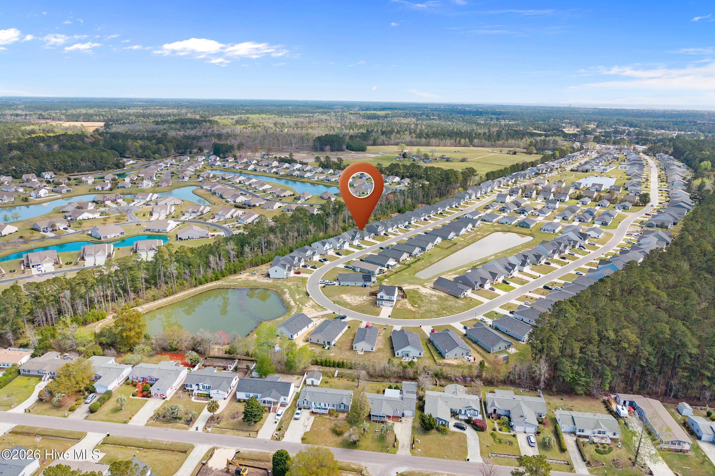 100563374 | Photo 37