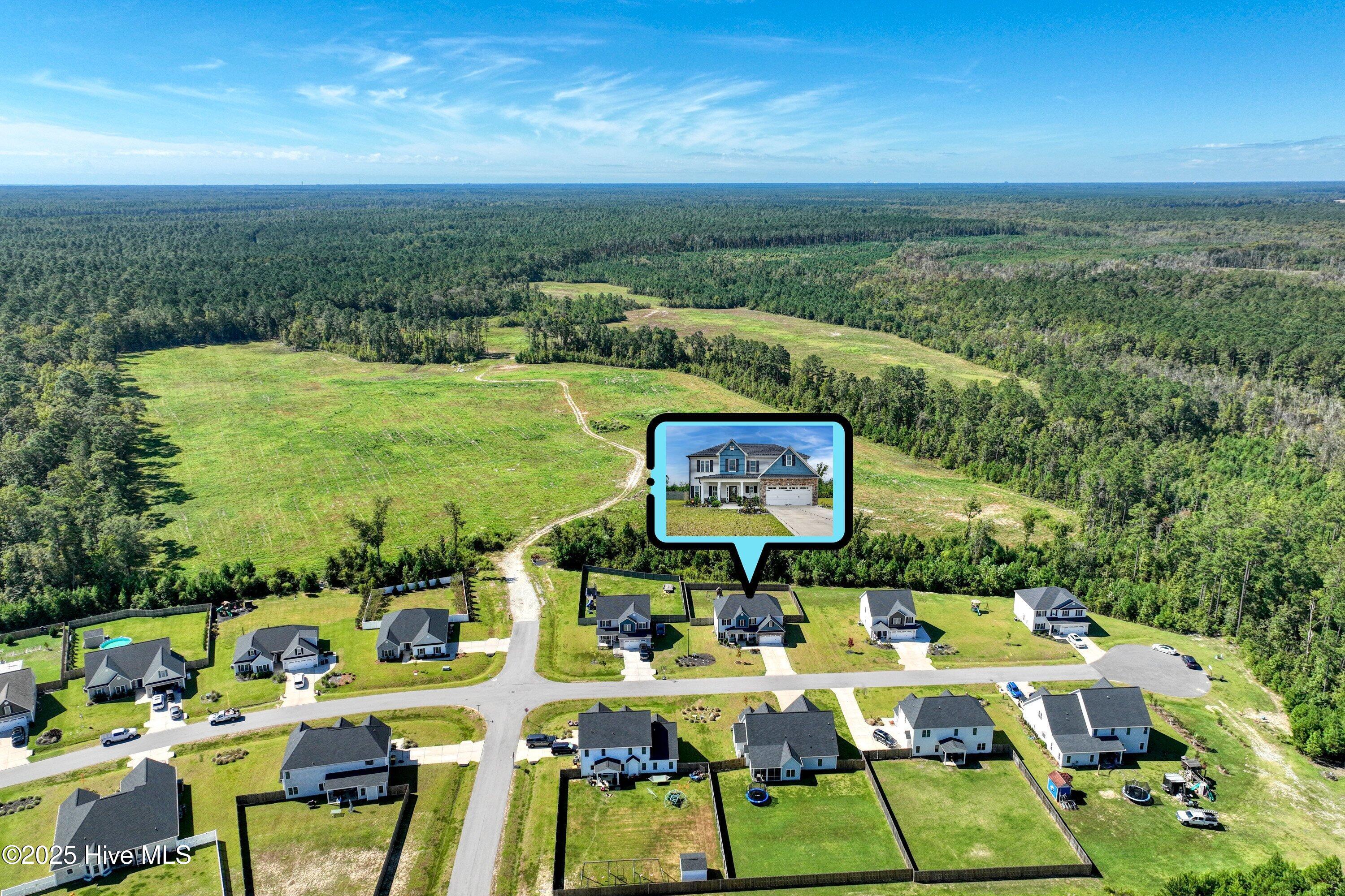 100530262 | Photo 43