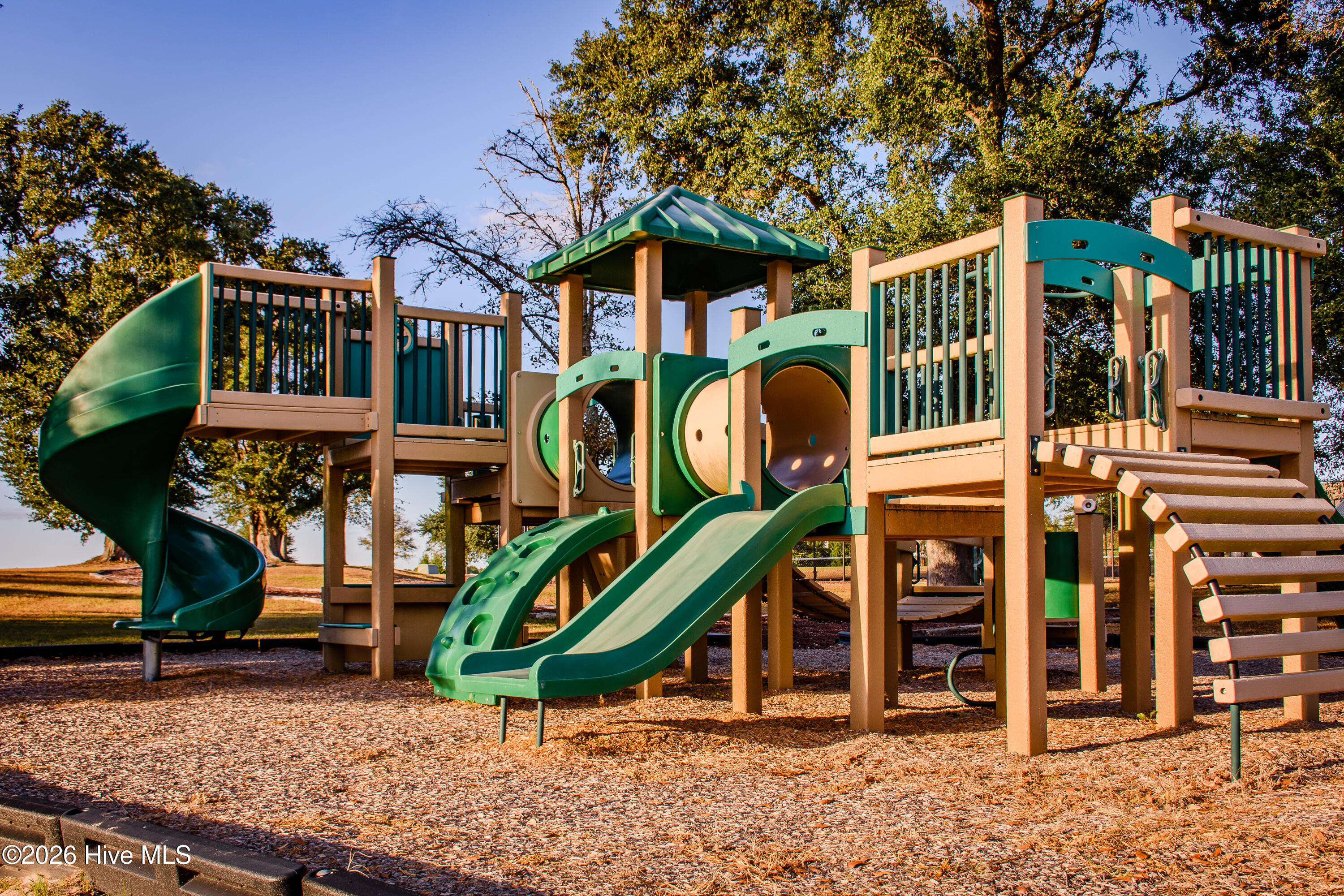 100556932 | Photo 57